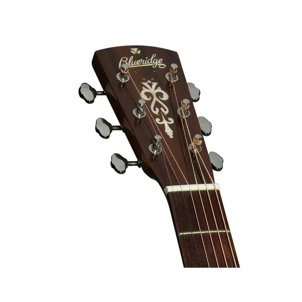 5_354517e1-f8a1-462e-a5a0-2d325d836a14 | Terry Carter Music Store