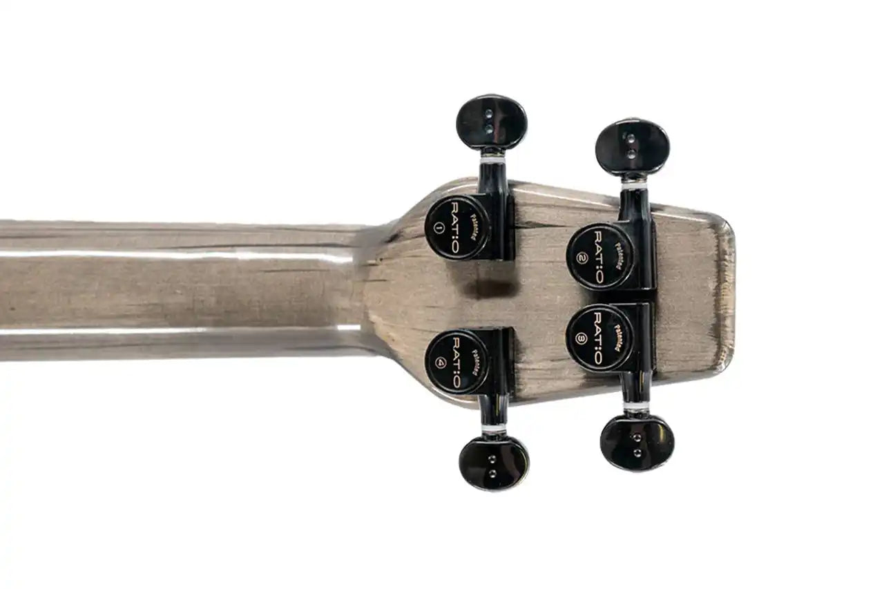 5_3a669a01-5fb7-43b7-a236-8ae794926587 | Terry Carter Music Store