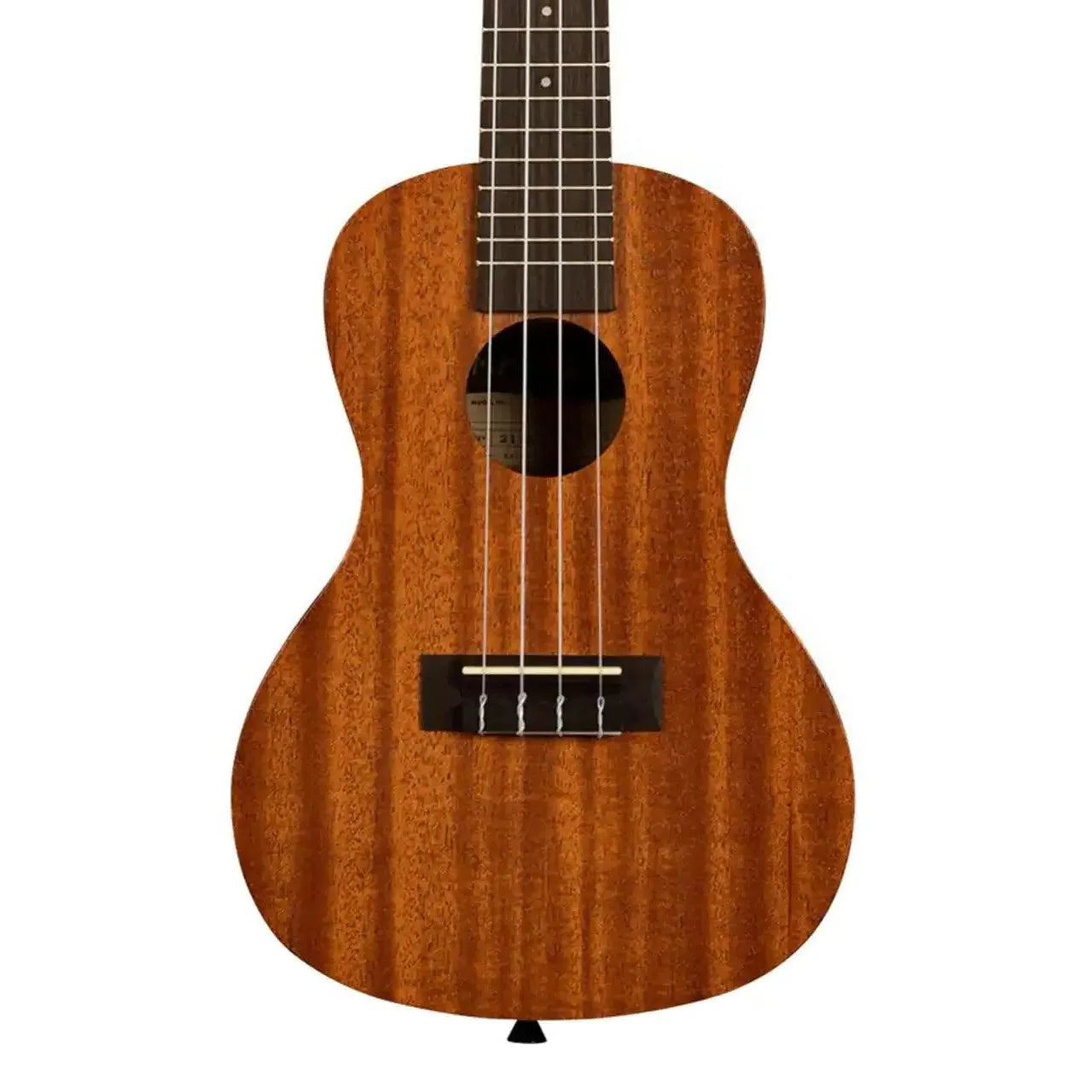 5_43c3b651-781d-4e32-b5cf-b26df90fba24 | Terry Carter Music Store