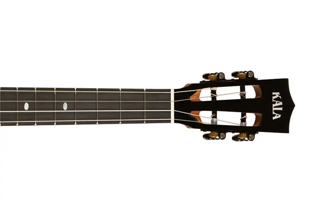 5_592d2309-49c6-4f74-b976-129374c9dc0a | Terry Carter Music Store