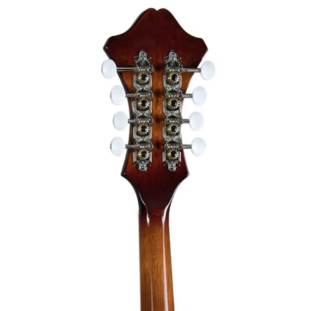 5_5f12a3d5-baad-4685-9f21-a05fd0232741 | Terry Carter Music Store
