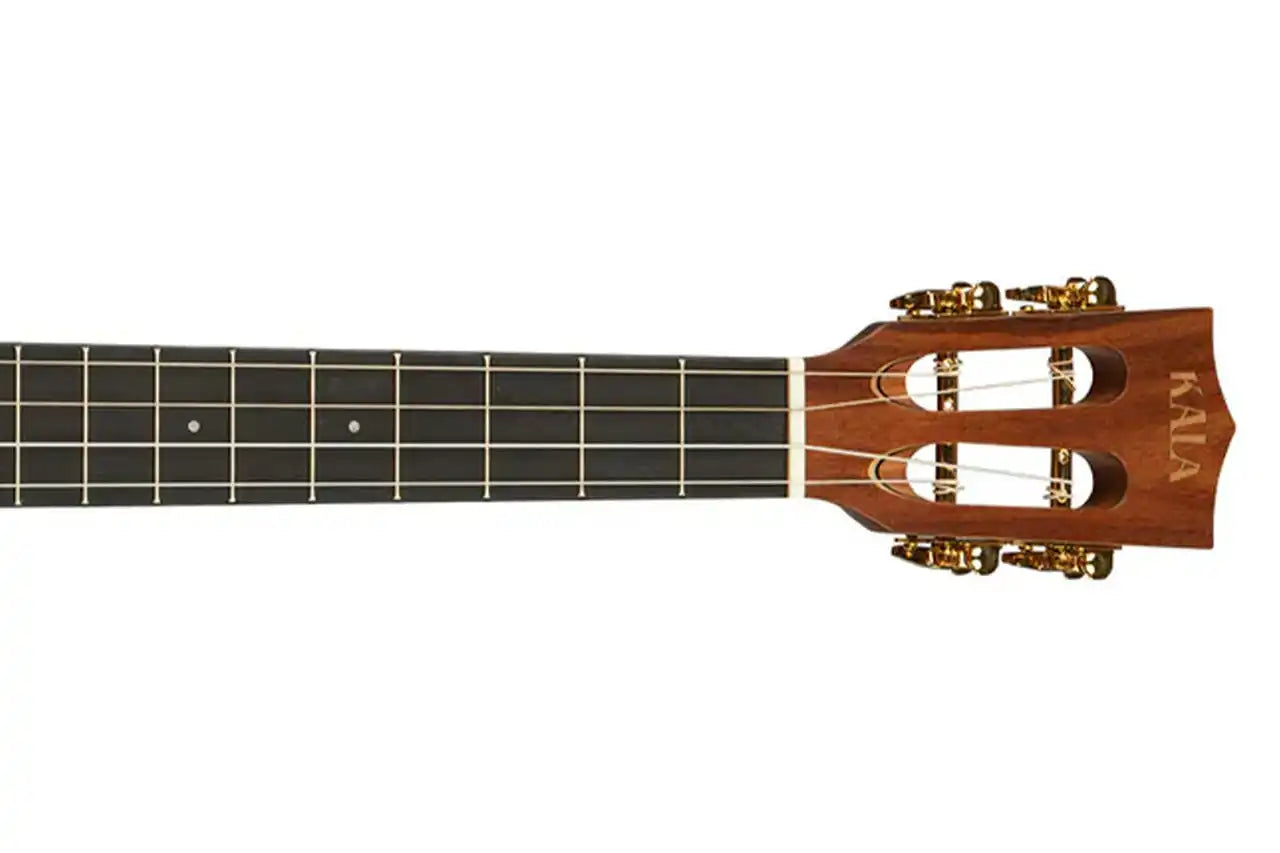 5_7456551e-6096-4356-b9b6-10862339ed0c | Terry Carter Music Store