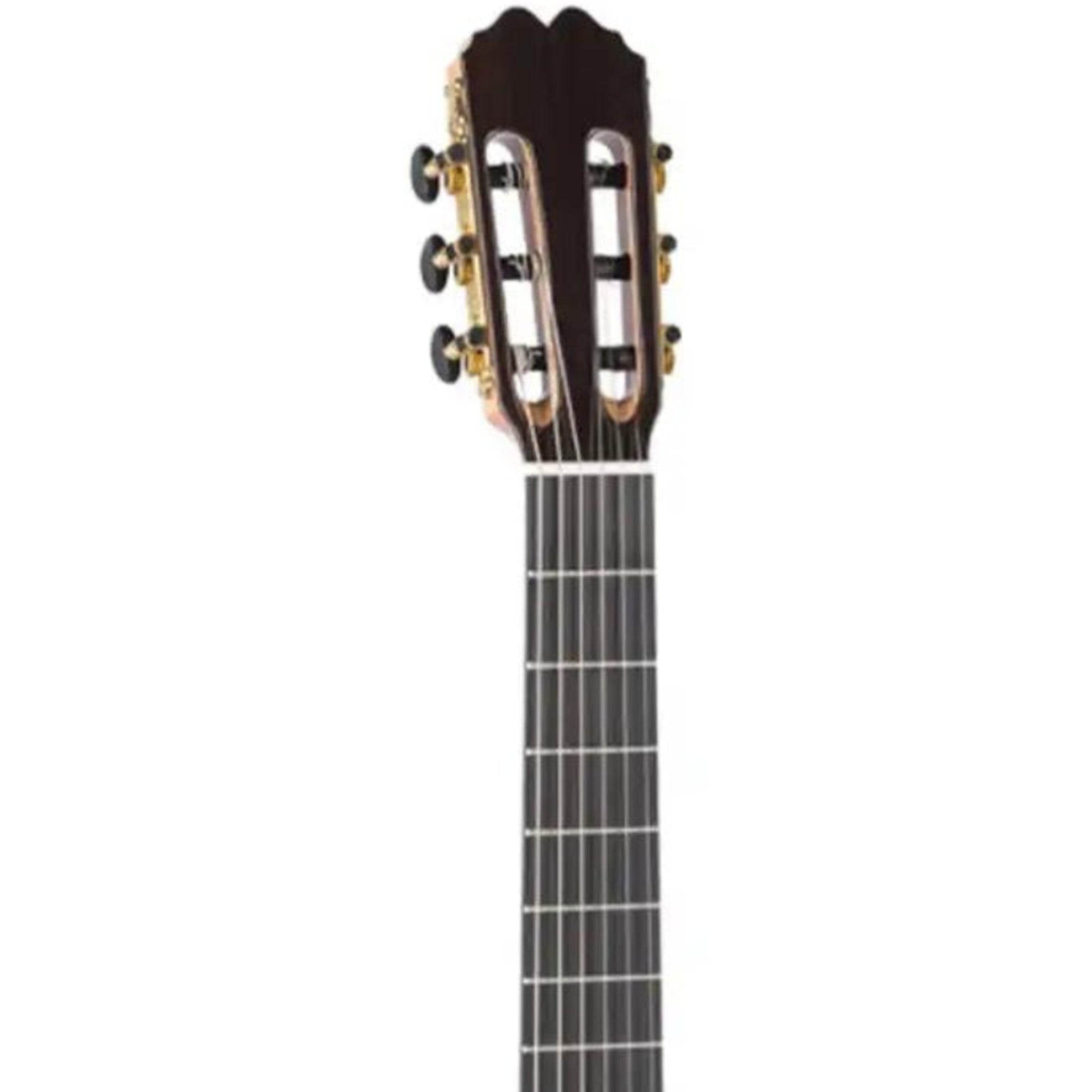 5_75479283-06bf-43dd-a094-48ec669f18eb | Terry Carter Music Store