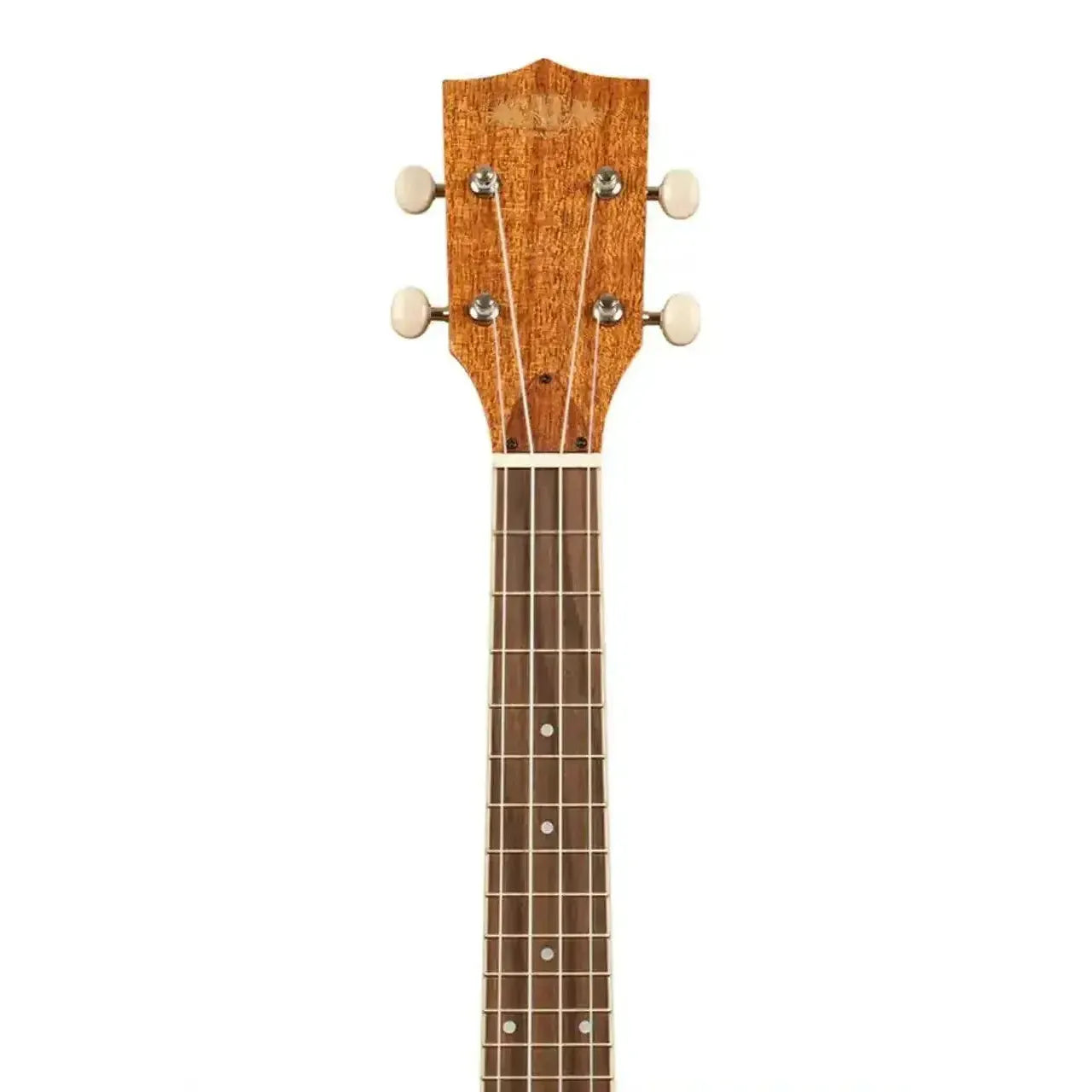 5_7c13690e-edd8-4d2a-9d2c-315d3730839d | Terry Carter Music Store