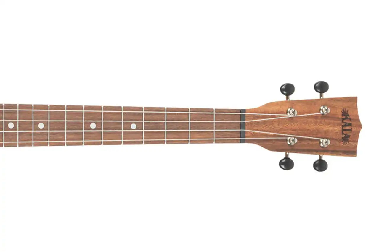 5_a37dc117-4c1b-45b3-9c8f-648bcbac353d | Terry Carter Music Store