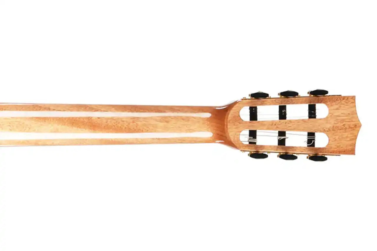 5_af549537-0c06-4daa-b747-eace9cb5307d | Terry Carter Music Store