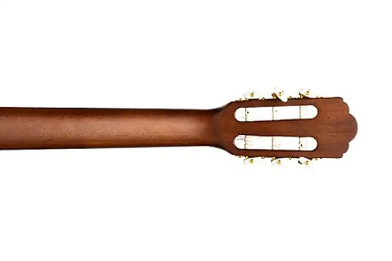 5_b36343c3-050f-45ed-990a-3d84584a4a3c | Terry Carter Music Store