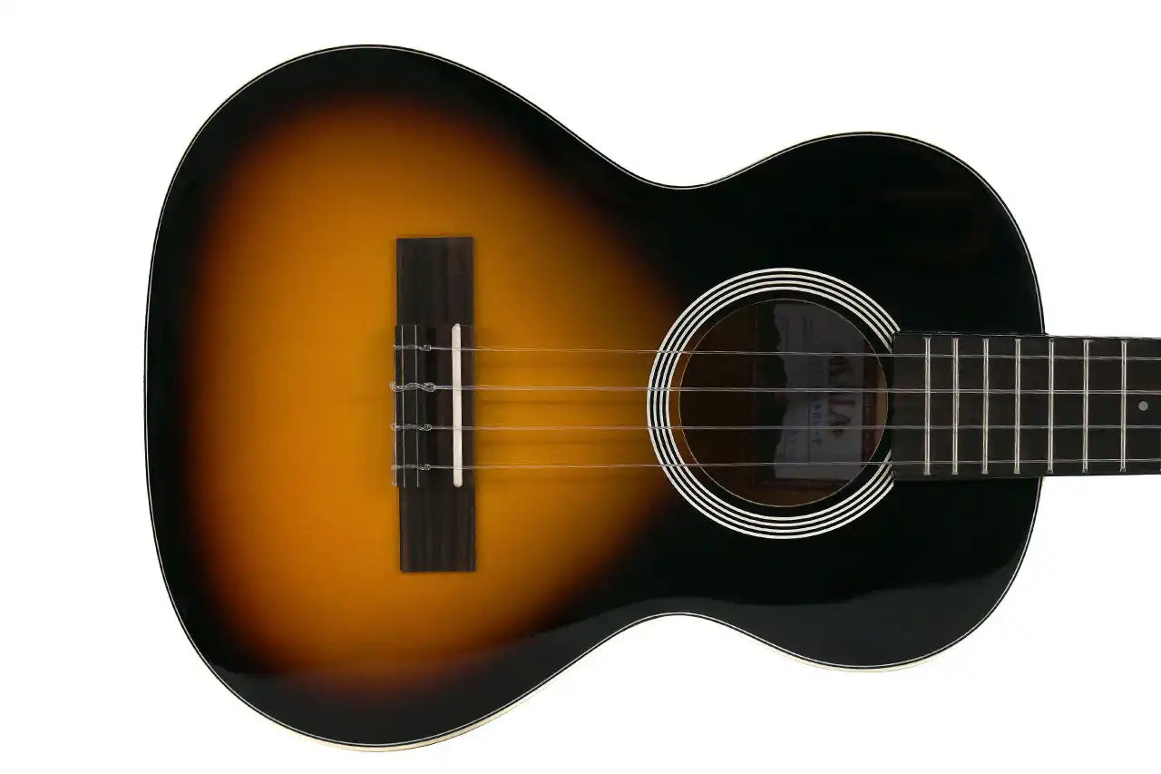 5_b94e4c32-40de-4aea-9261-e1fd2f99f8ca | Terry Carter Music Store