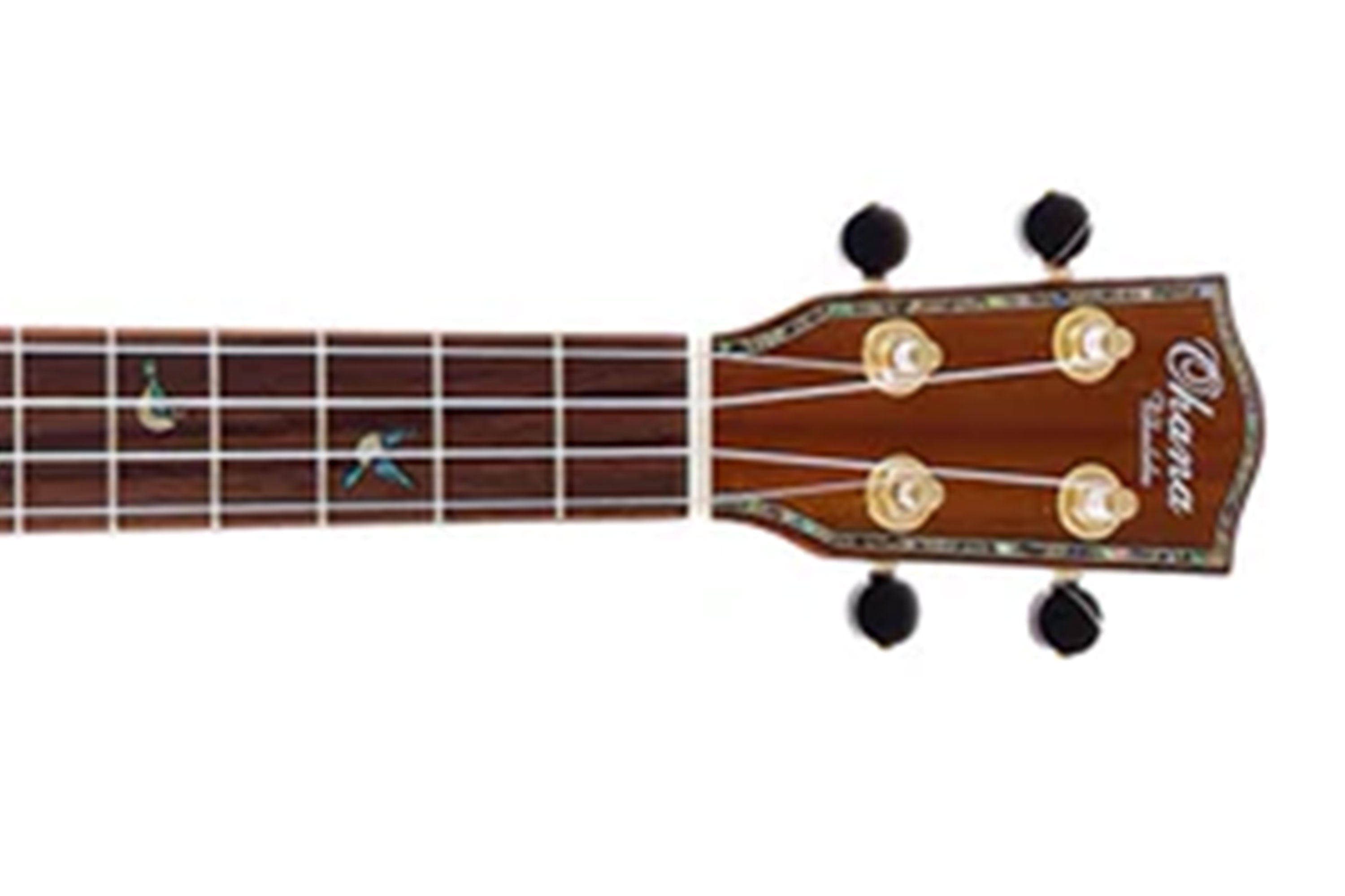 Ohana CK-370G Concert Ukulele