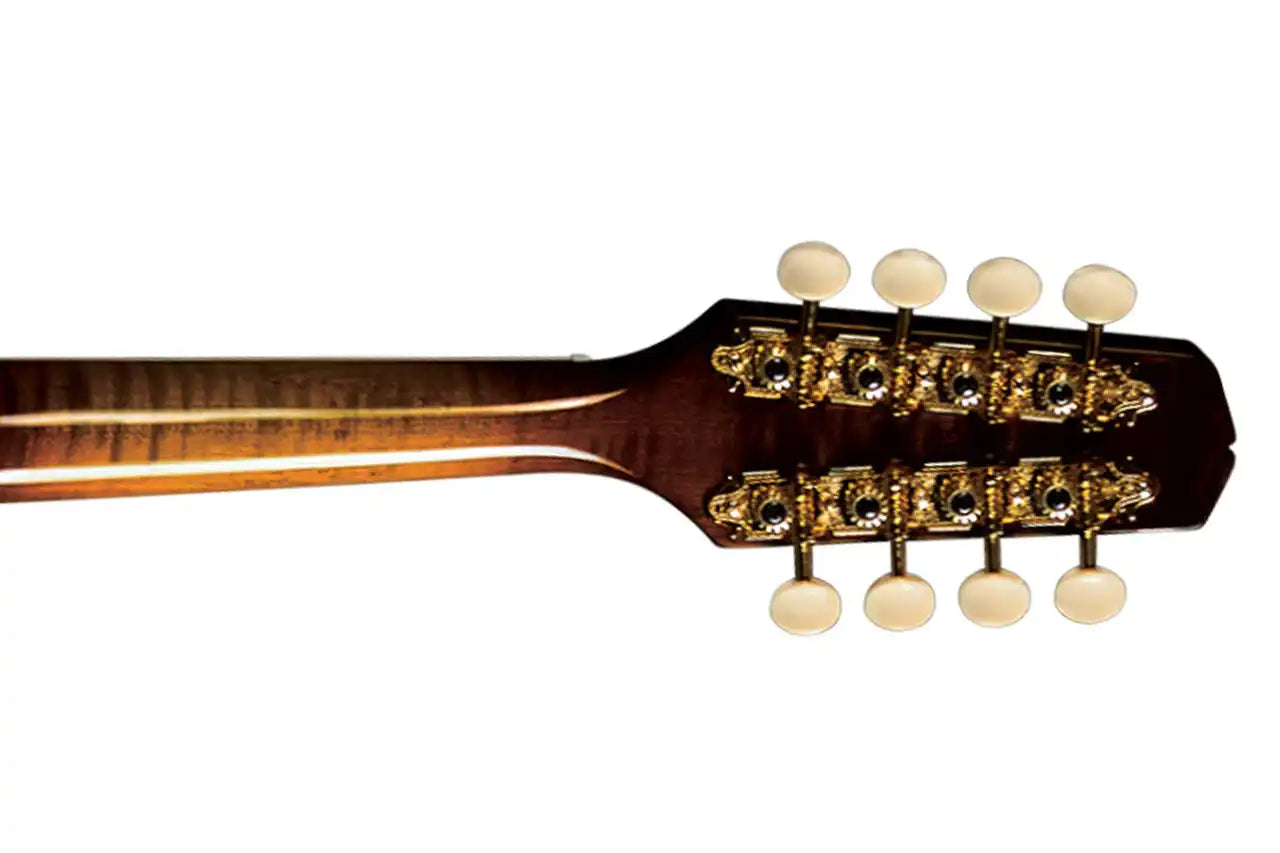 5_e0ac65c0-adda-4223-b245-2b16b983cd7c | Terry Carter Music Store