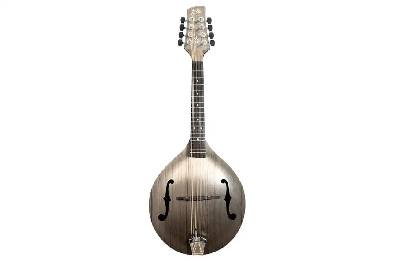 5_e1befded-48b7-4855-97c0-31ea57f0a7cb | Terry Carter Music Store