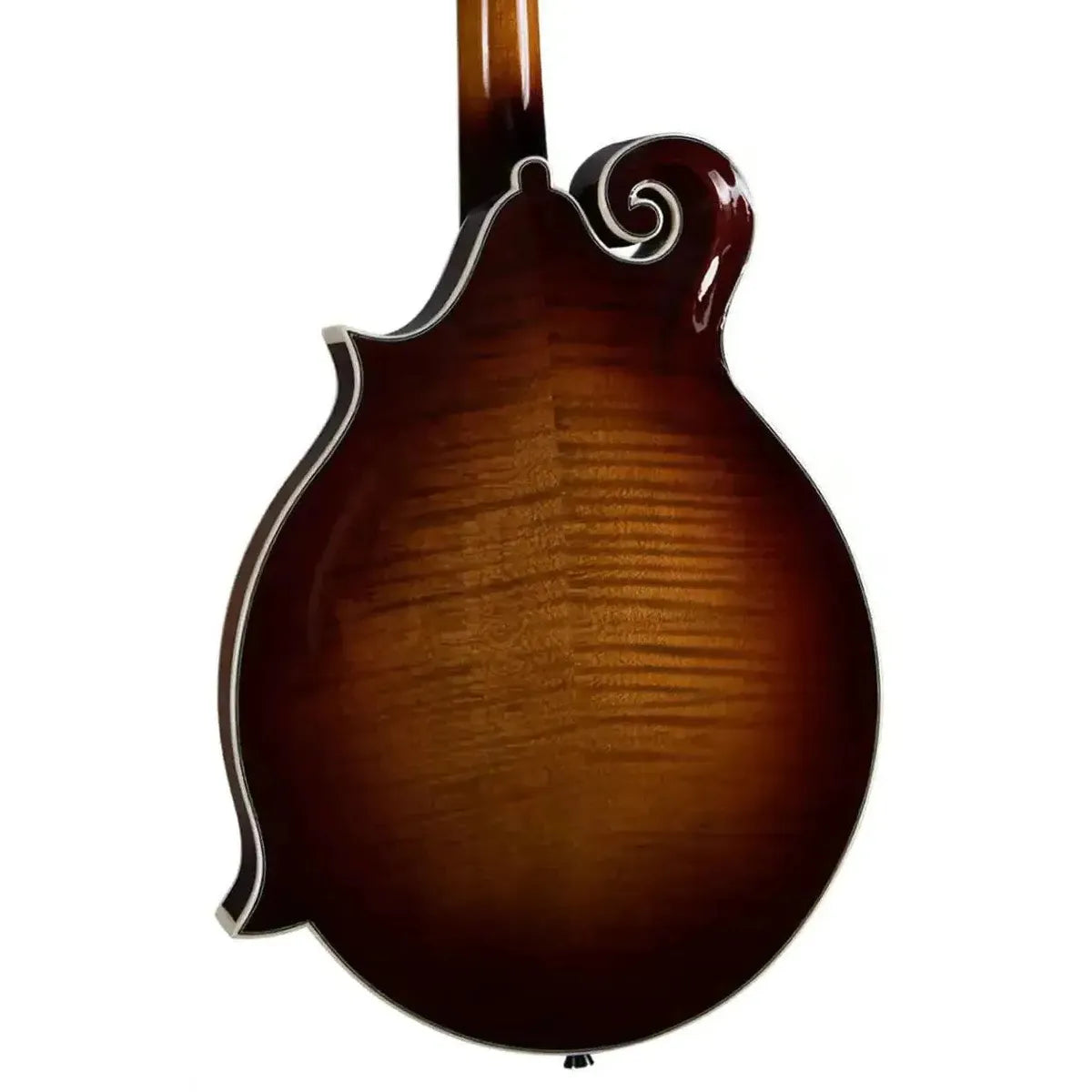 5_eb0a62b0-0d9d-42a3-8aa8-432868ce4b42 | Terry Carter Music Store