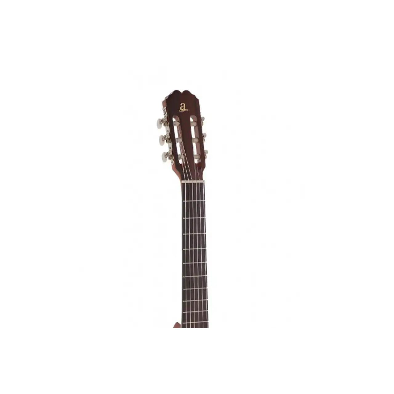 5_ee4e72d1-6fb8-4e0f-ae60-6ef8e3bbc64e | Terry Carter Music Store