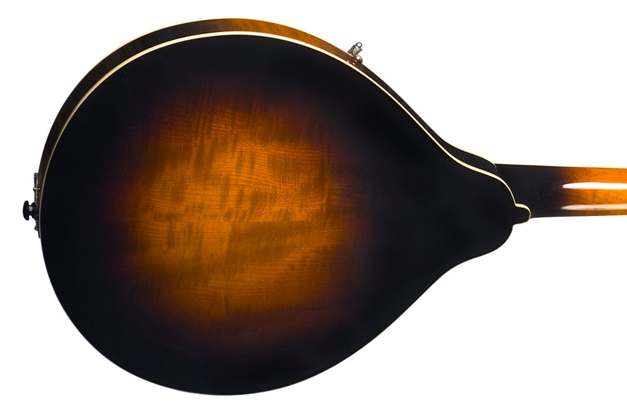 5_f78b403c-68f0-48eb-815f-913801808e89 | Terry Carter Music Store