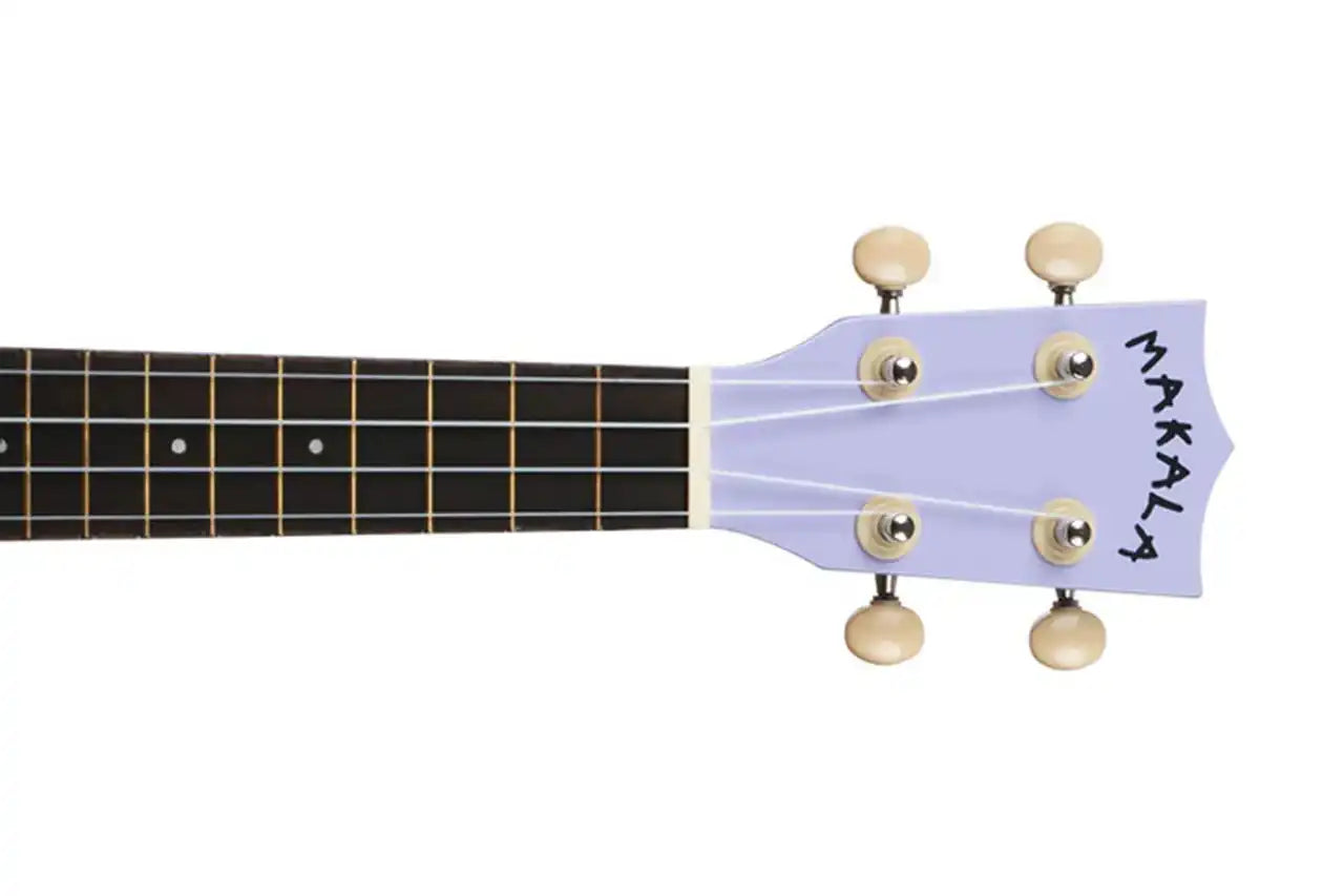 5_f80ec2a2-acc7-4fc8-9a78-9abdb0ea917c | Terry Carter Music Store