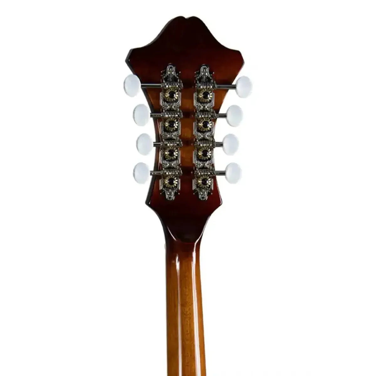 6_02bfd420-17de-430f-ac8a-d329c92bd0ce | Terry Carter Music Store