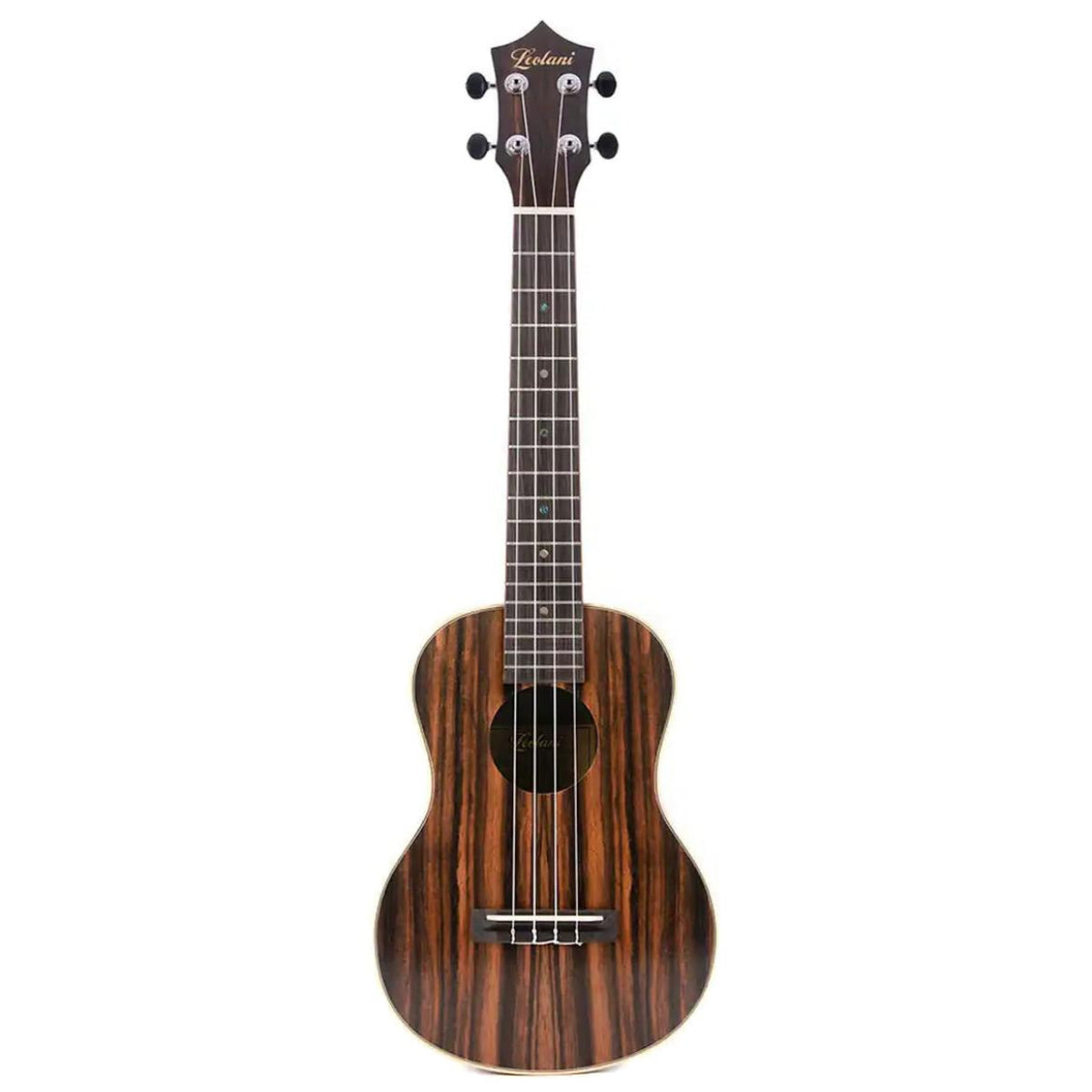 6_216199c1-f727-4876-8a6e-5ecf6c7bace8 | Terry Carter Music Store