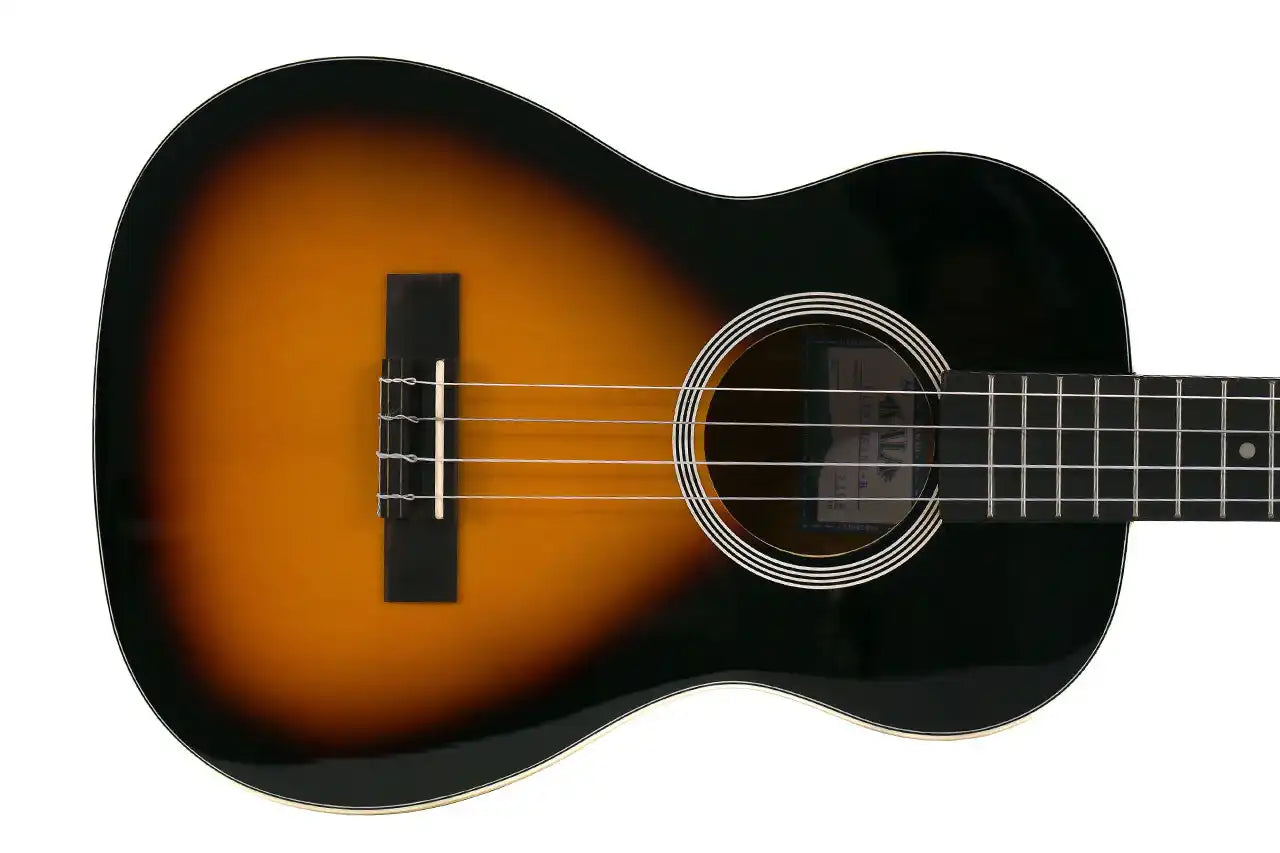 6_23767fb4-f2f2-440e-af77-56ca1a923c94 | Terry Carter Music Store