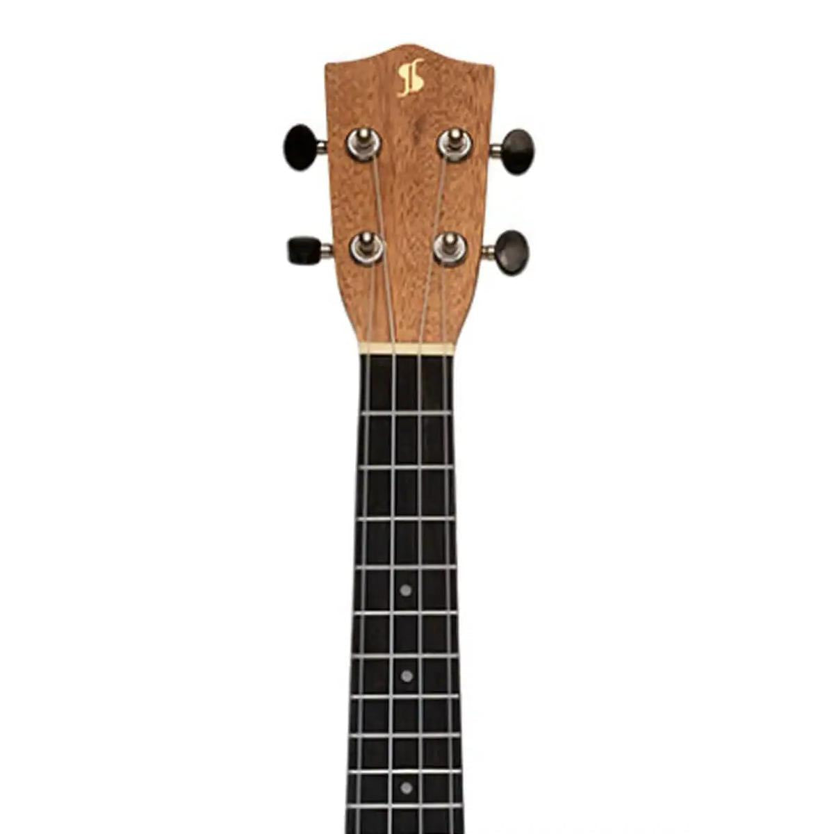 6_59c3b9e8-0d13-4e09-9220-91b1e6cea03a | Terry Carter Music Store