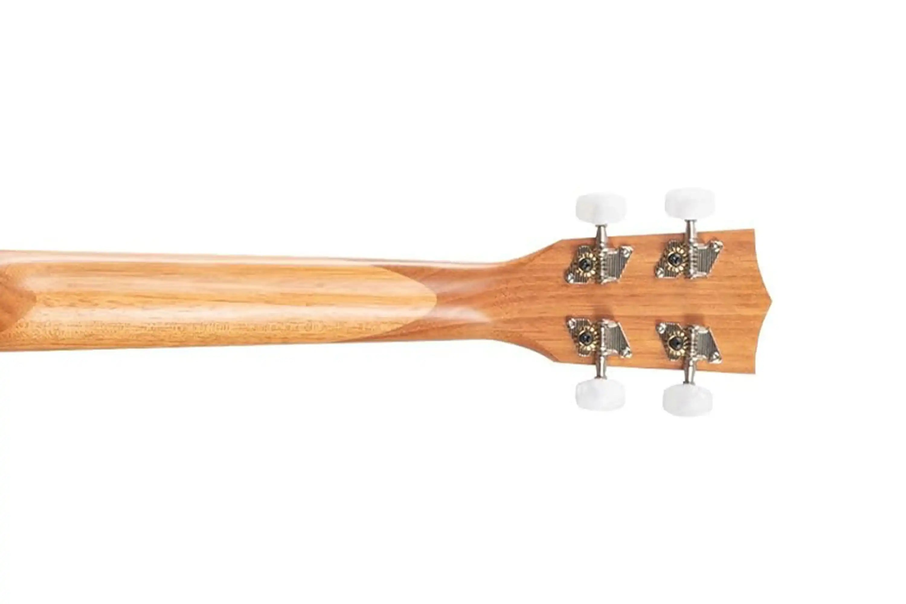 6_e1ce5088-f501-4447-a6dd-6fe067801c1e | Terry Carter Music Store