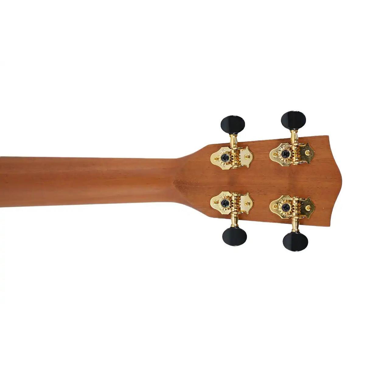 ABD_4 | Terry Carter Music Store