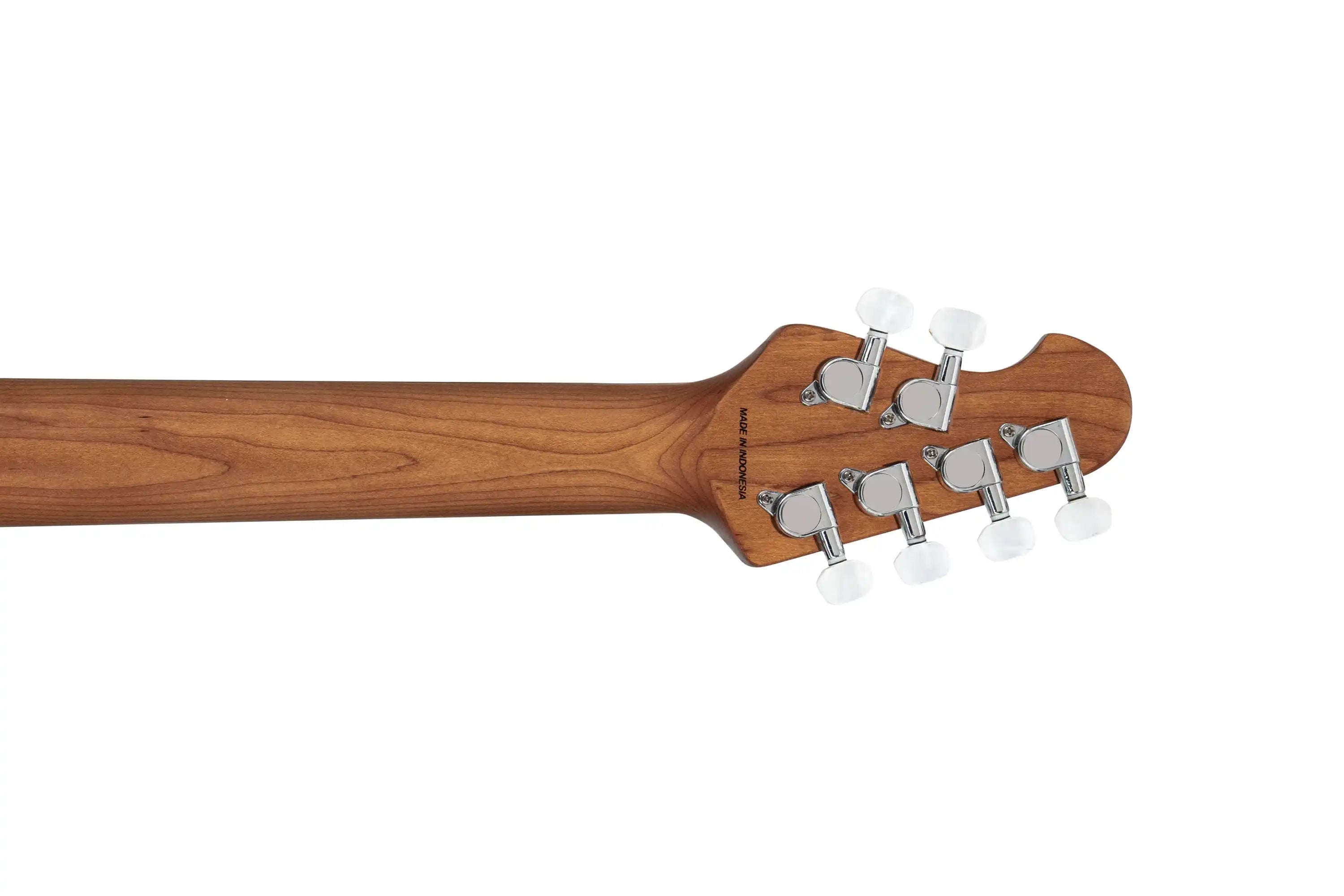 AL40P-SHG-R2-6 | Terry Carter Music Store