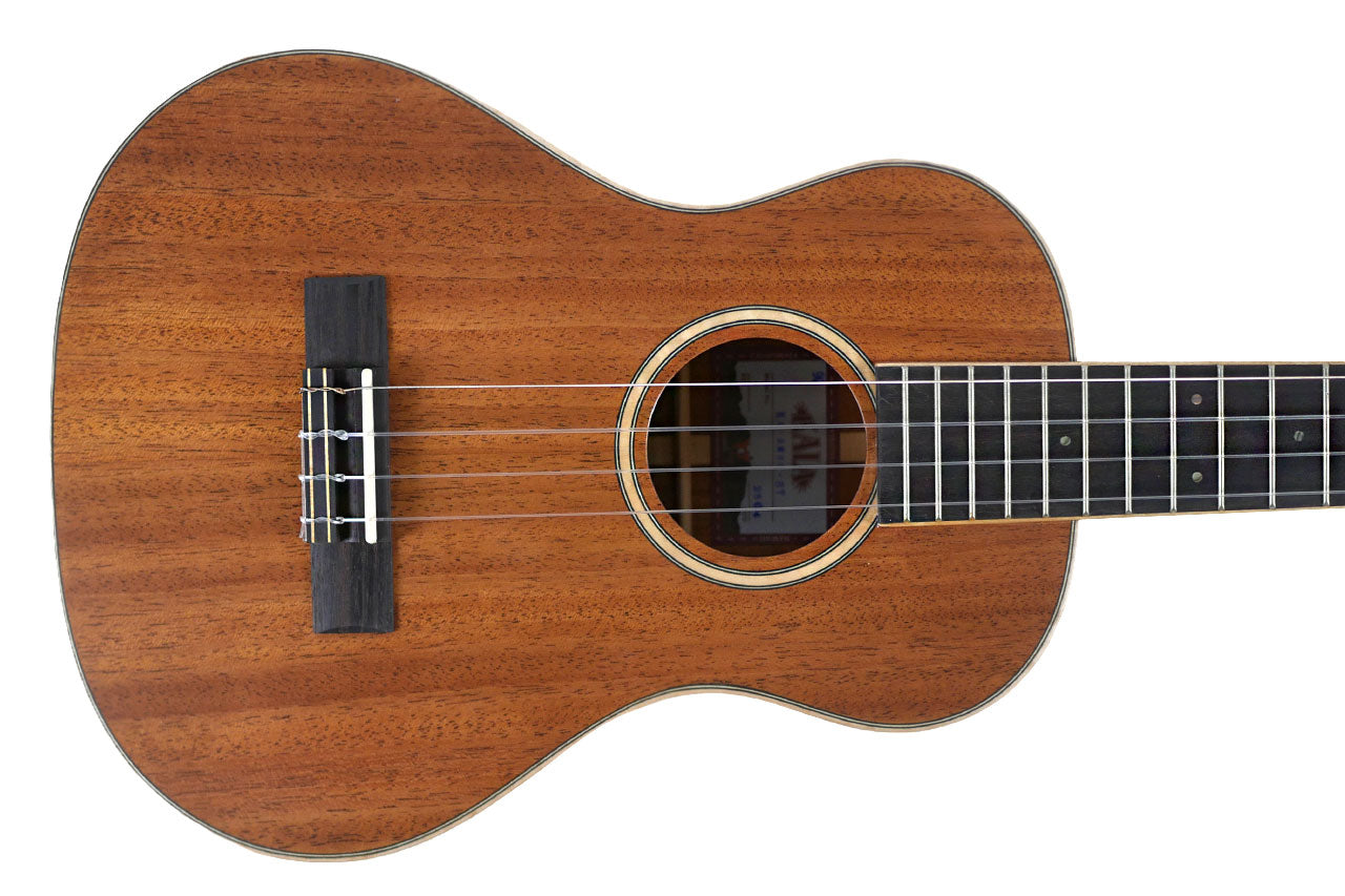 AMHG_ST_1 | Terry Carter Music Store