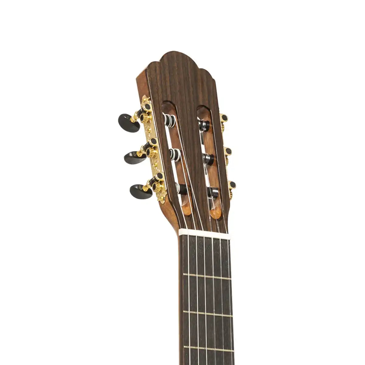 Mazuelo-SR classical guitar headstock with gold tuners, angled view