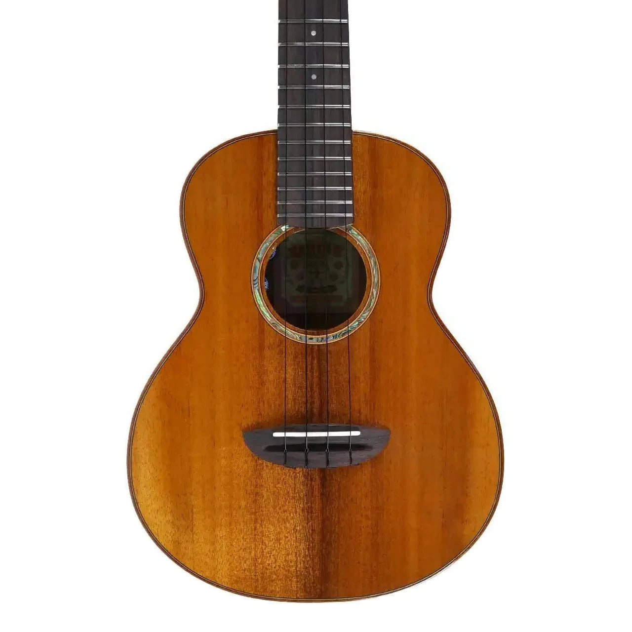 AN_AKK3E_1 | Terry Carter Music Store
