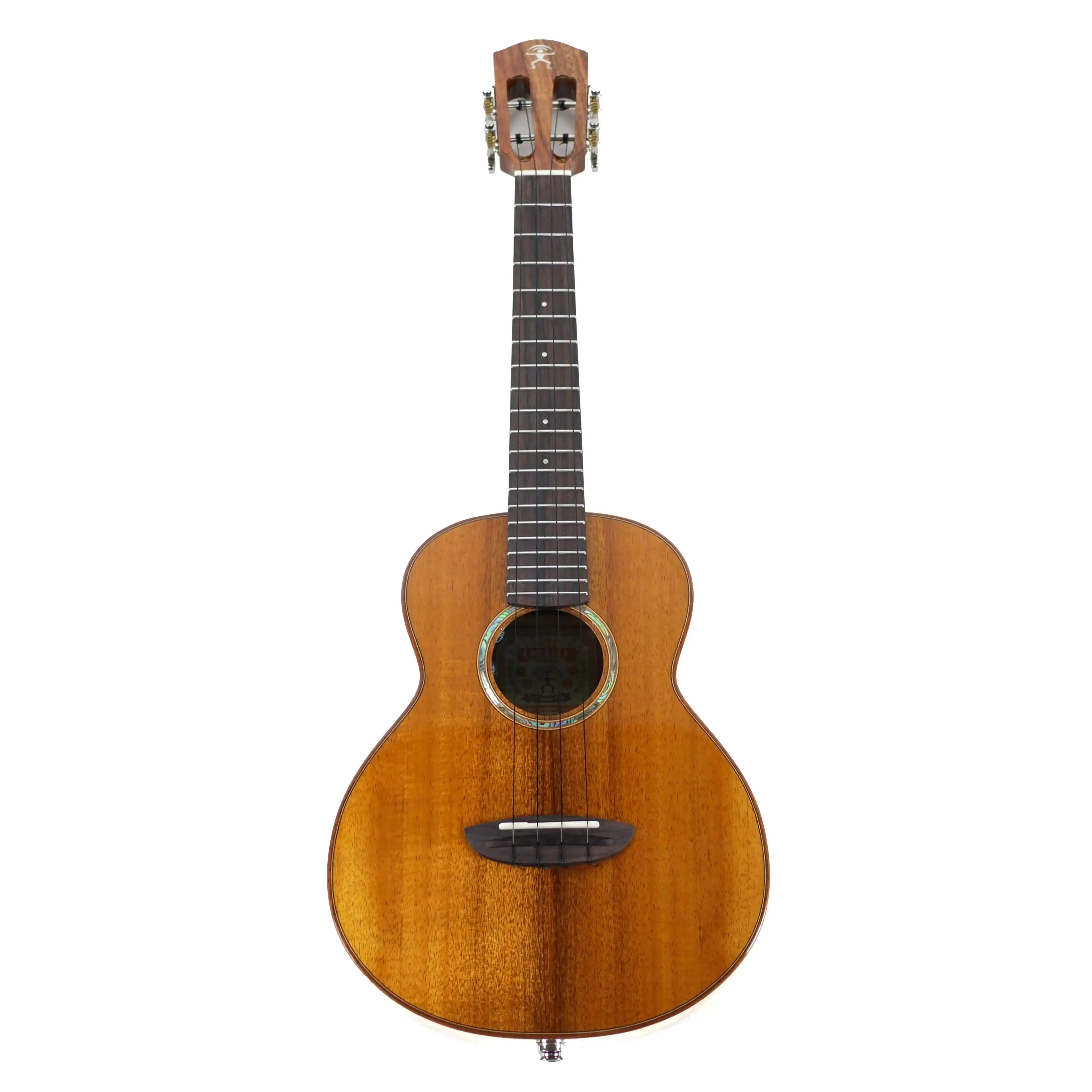 AN_AKK3E_5 | Terry Carter Music Store