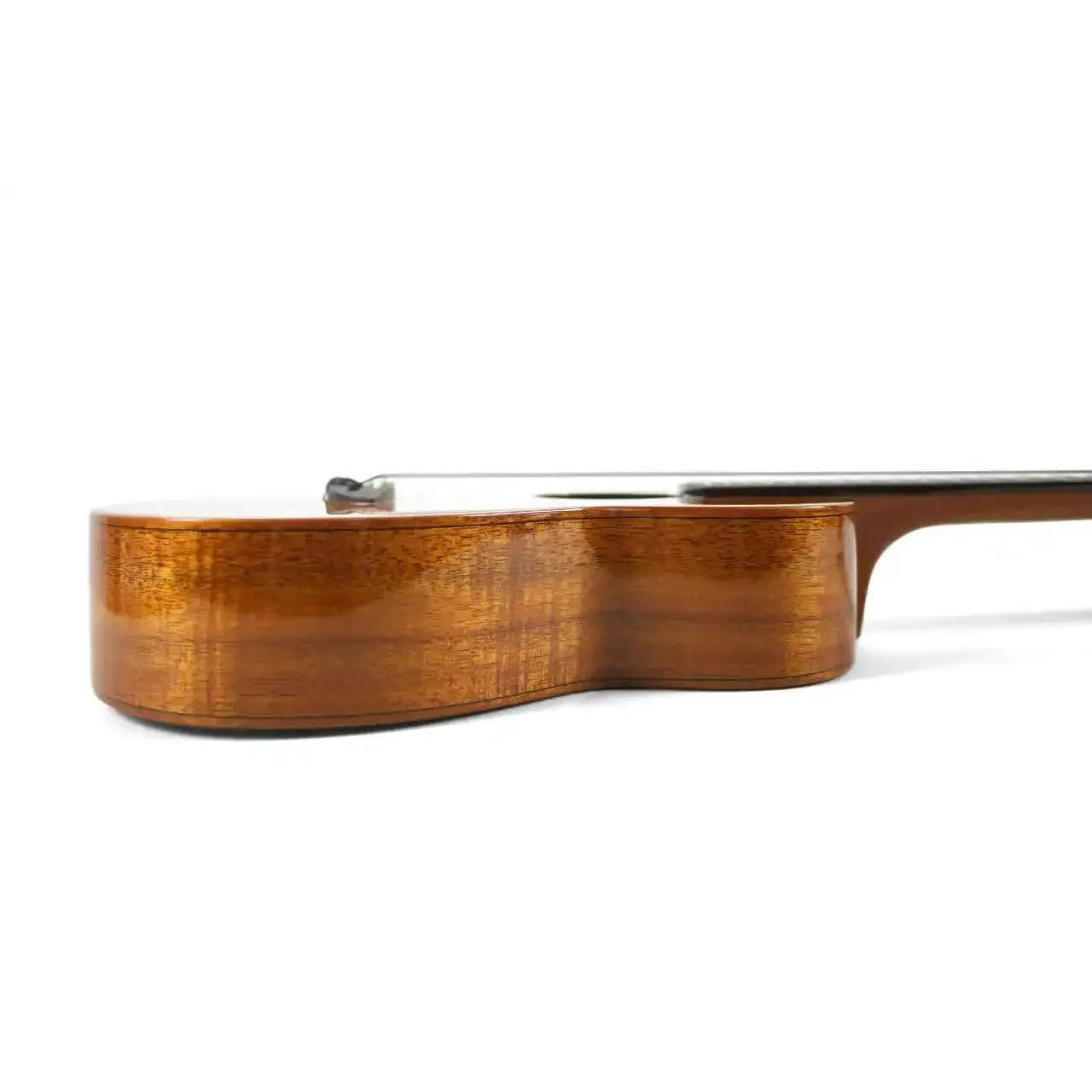 AN_AKK3E_6 | Terry Carter Music Store