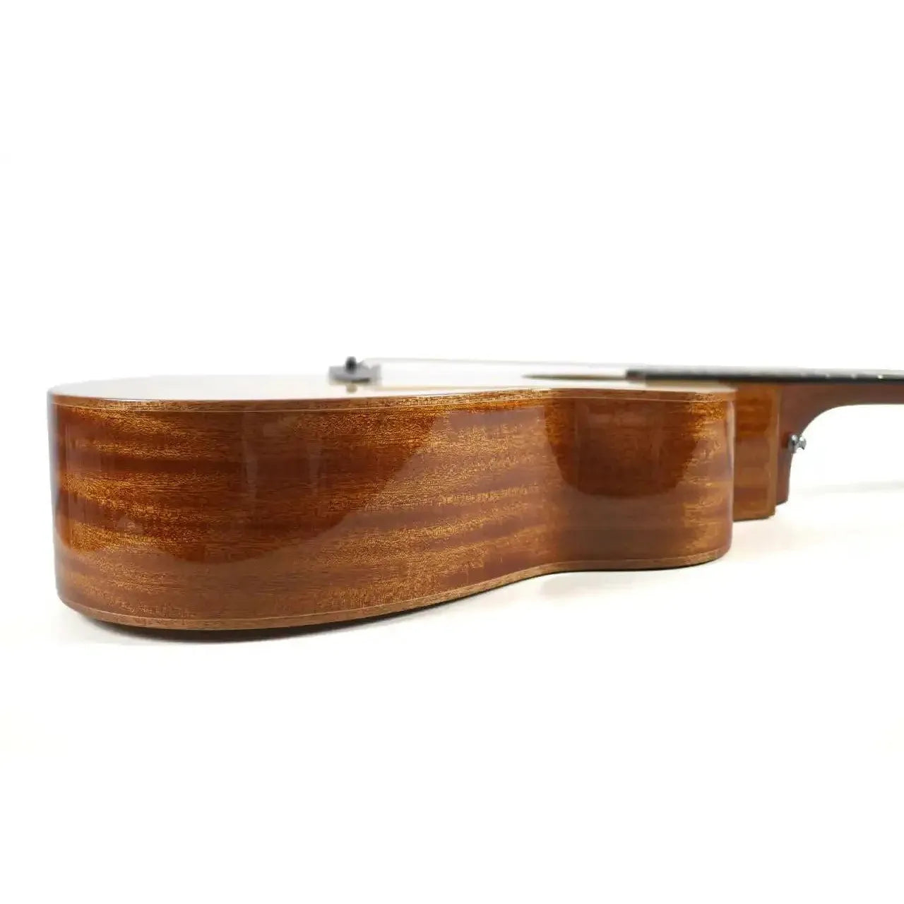 AN_LF23_5 | Terry Carter Music Store