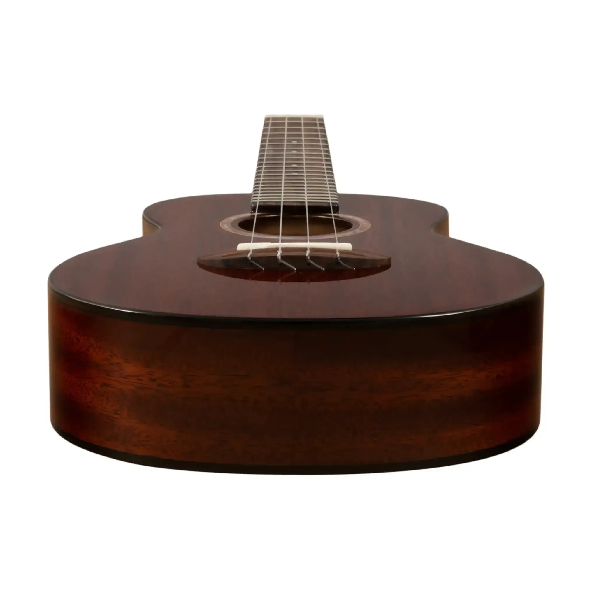 ANueNueAMM2AfricanMahoganyConcertUkulele_BlackBart_-butt | Terry Carter Music Store