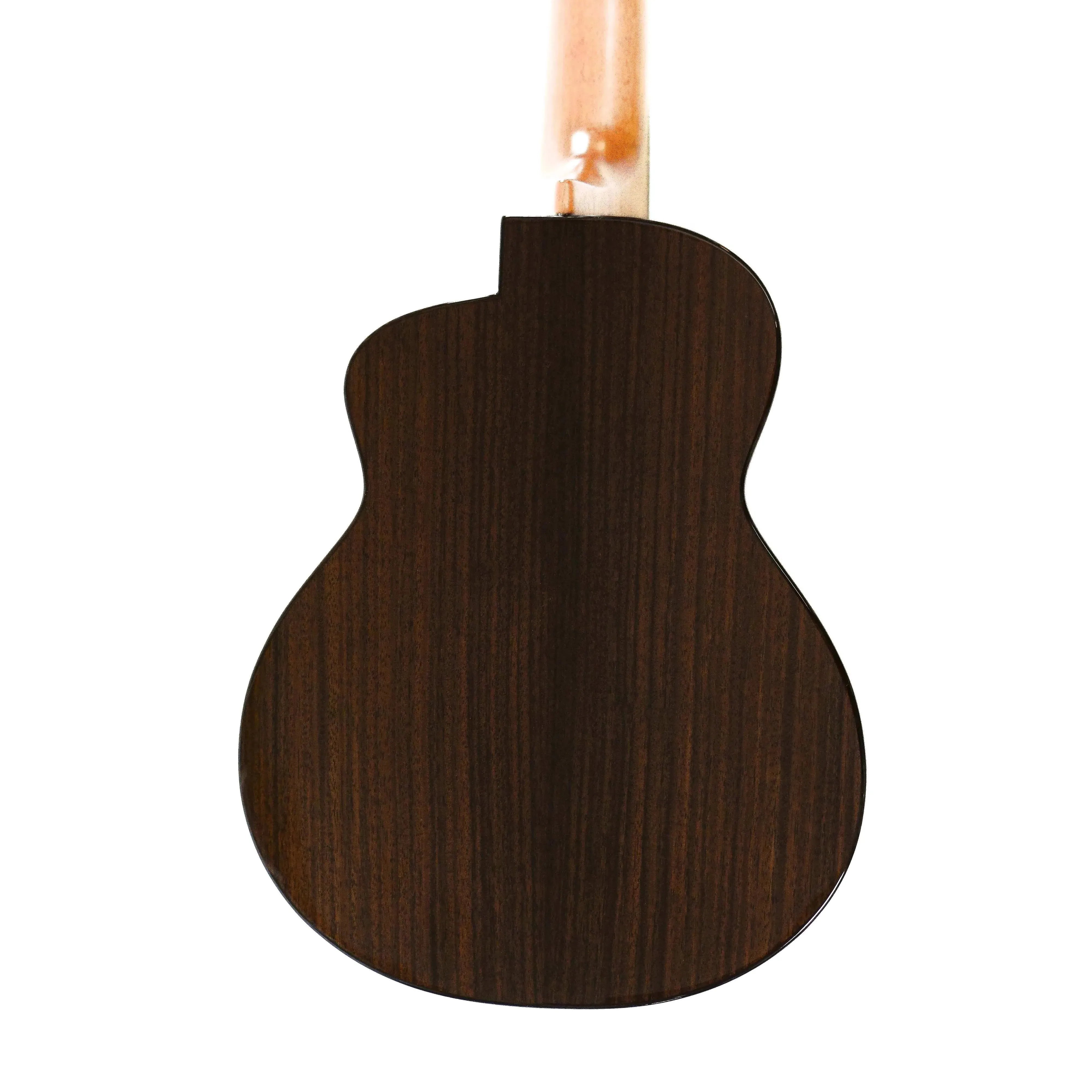 ANueNueUT200MoonBirdTenorUkulele_Frye_BACK | Terry Carter Music Store