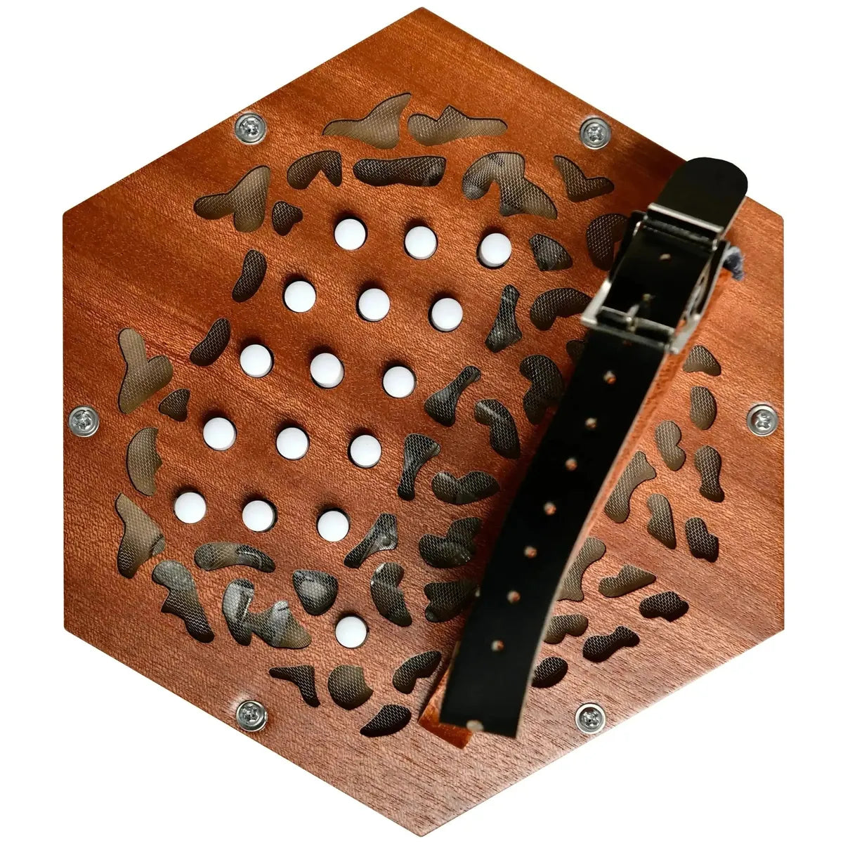 AP-1230A_d-scaled | Terry Carter Music Store