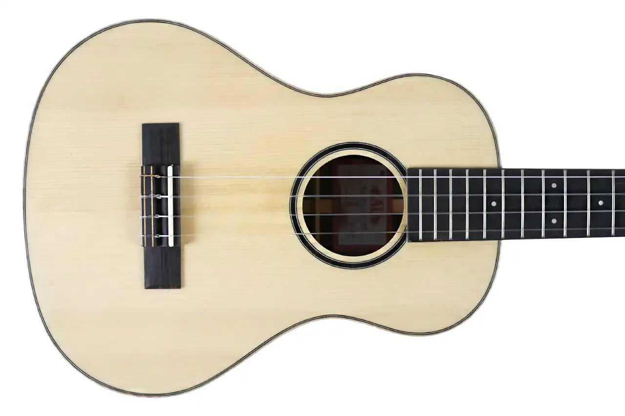 ASZCT_ST_1 | Terry Carter Music Store