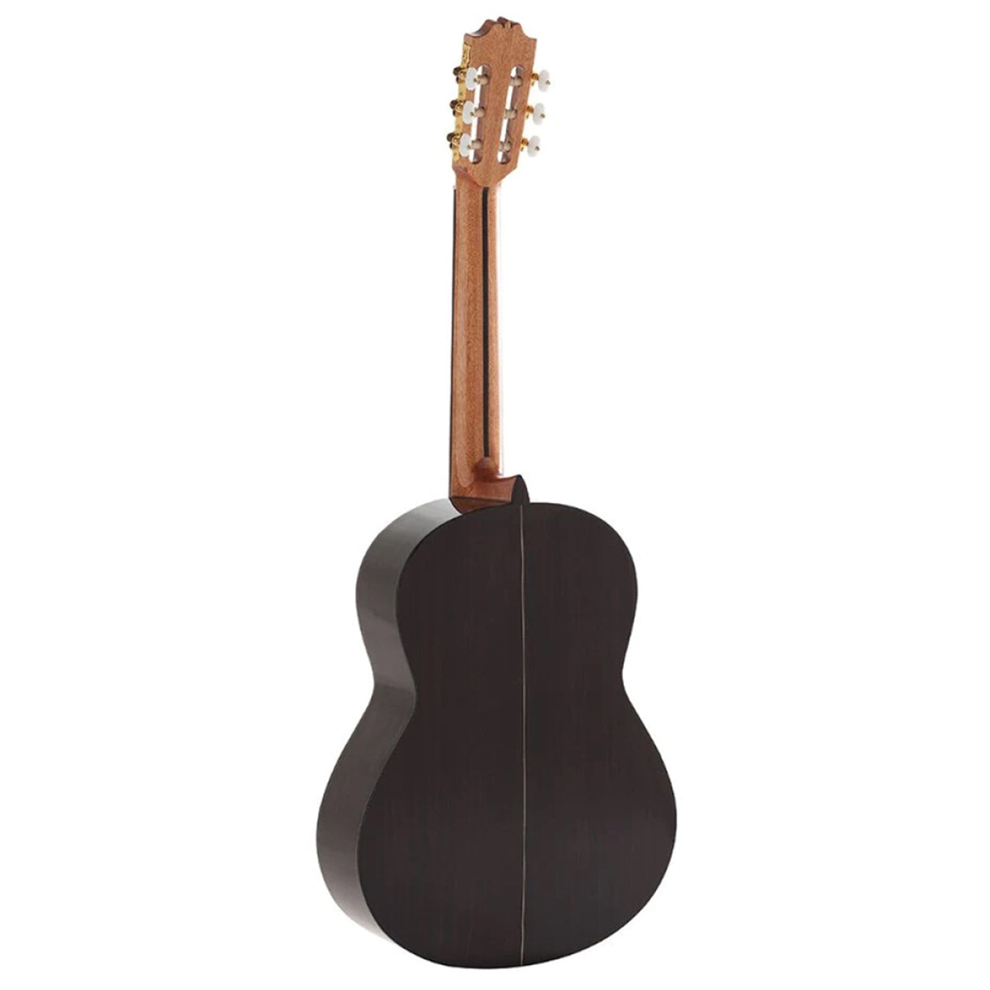 Admira A6-FISHMAN BLEN guitar on a white background