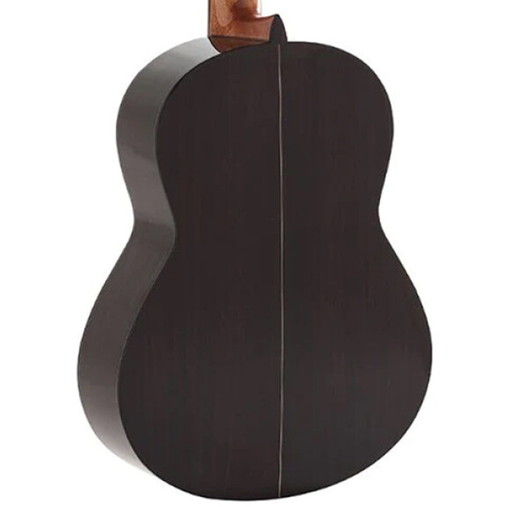 Admira A6-FISHMAN BLEN guitar on a white background