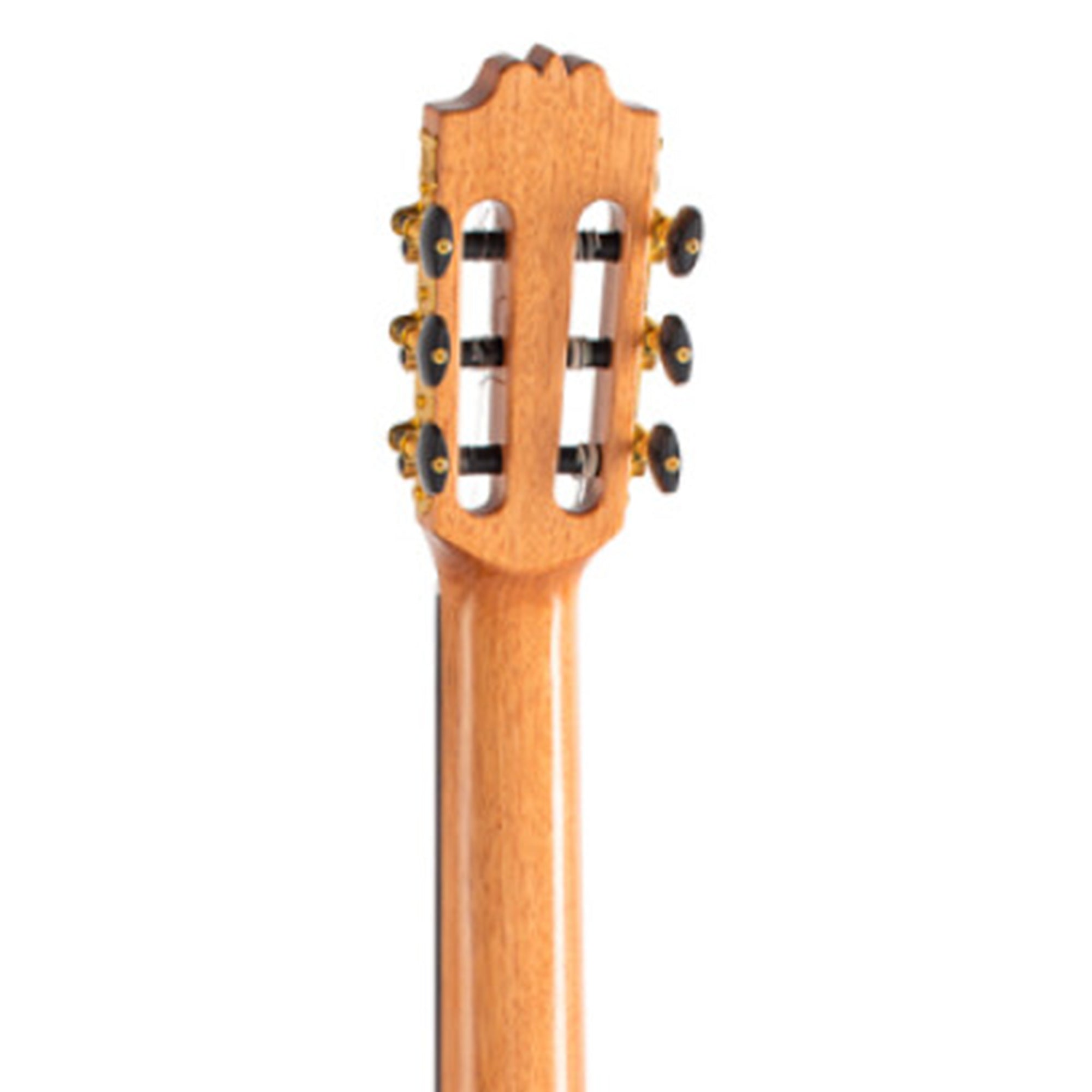 Close-up of a wooden guitar neck with tuning pegs on a white background