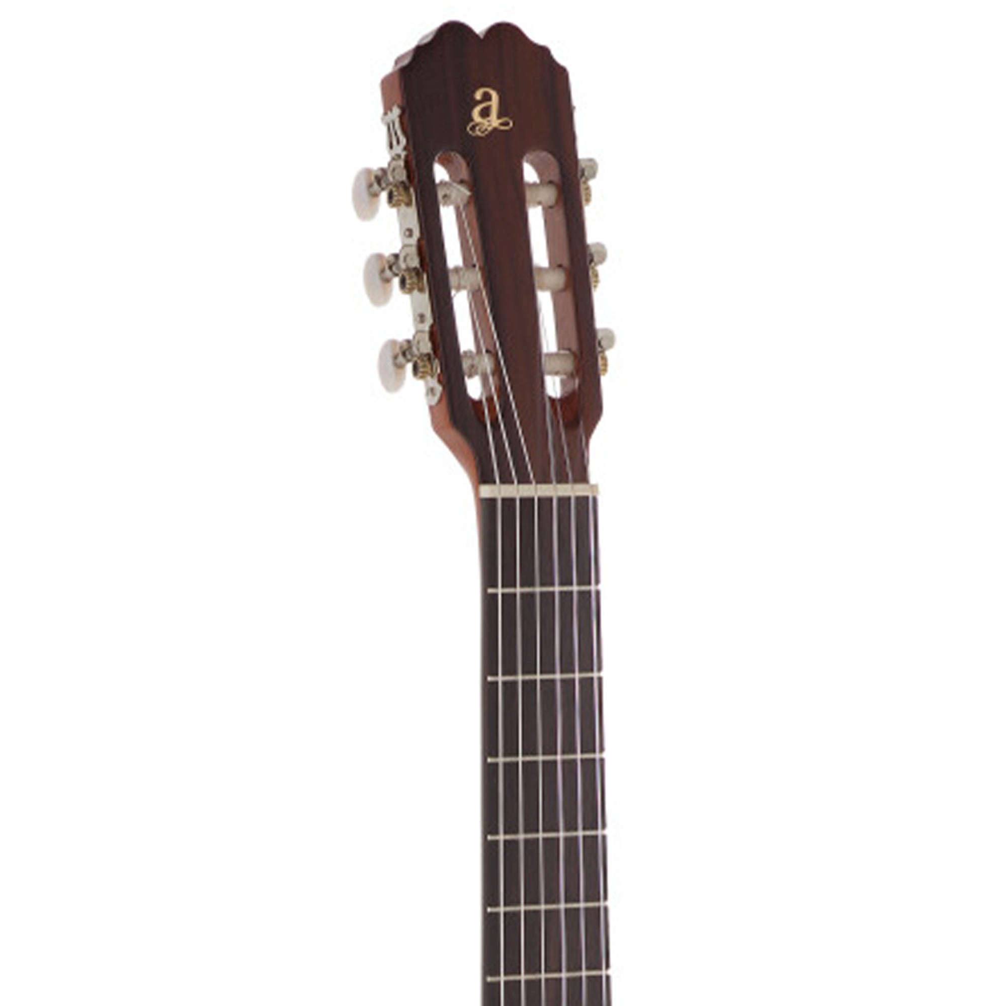 Close-up of a classical guitar's headstock and neck on a white background