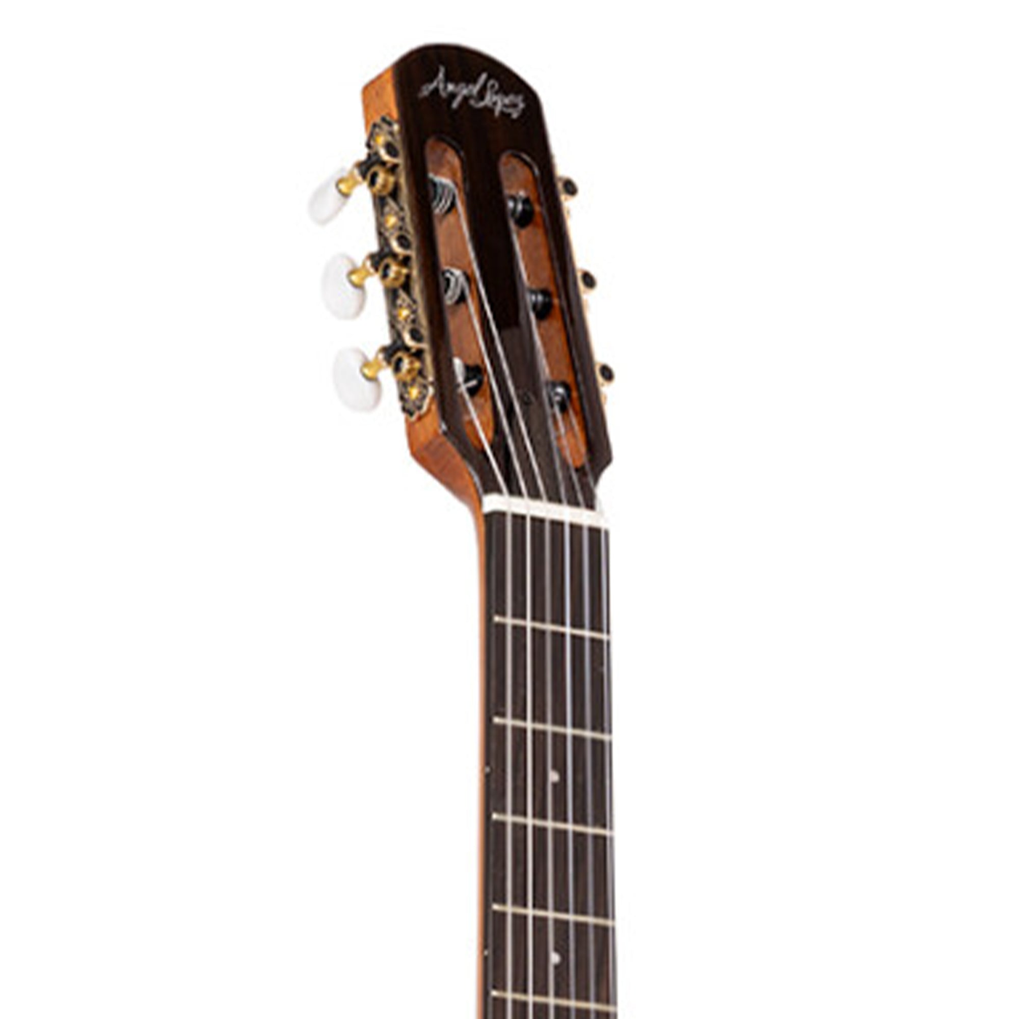 Close-up of a guitar headstock with brand name on a white background