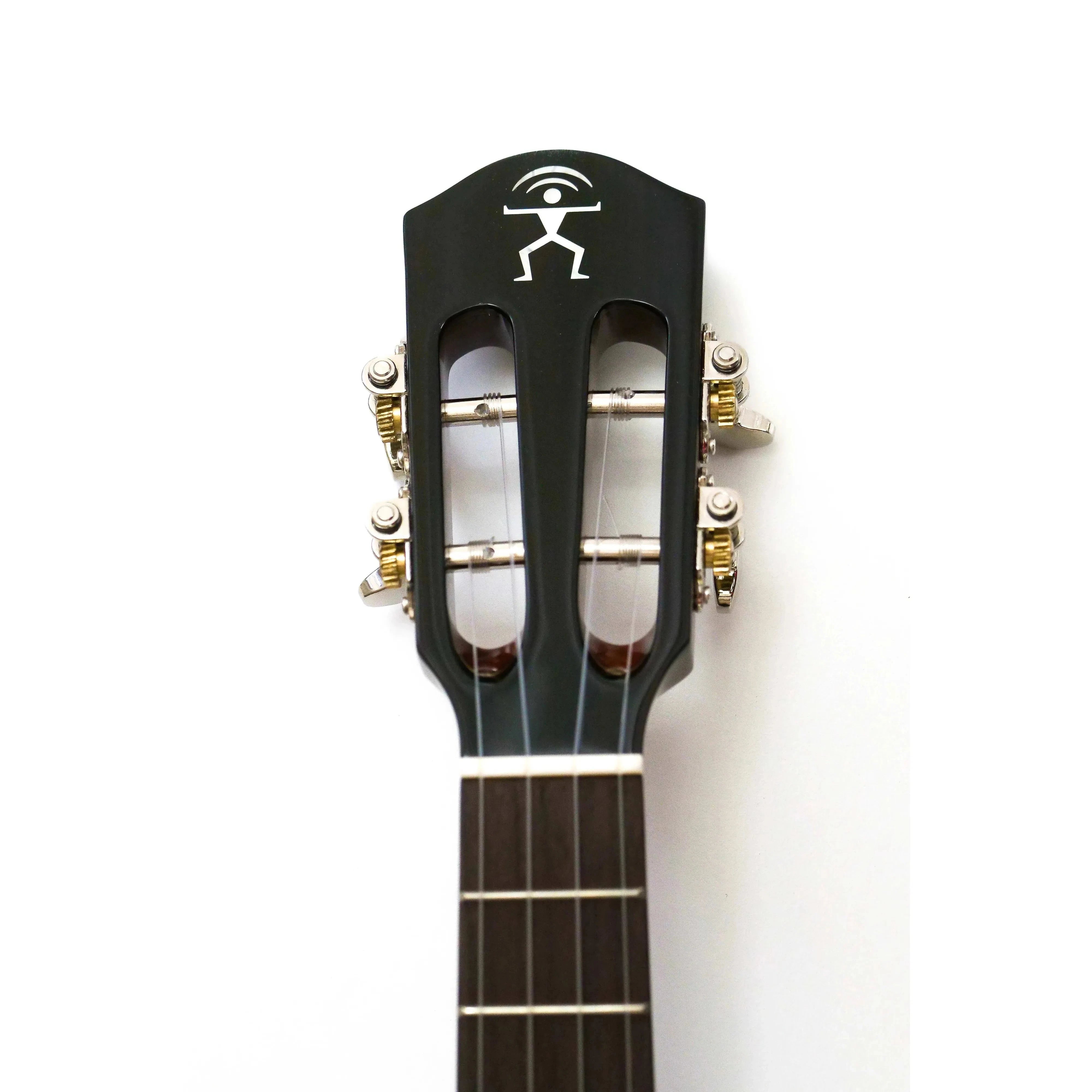 AnuenueAMM3LION_SDENHEADSTOCK | Terry Carter Music Store