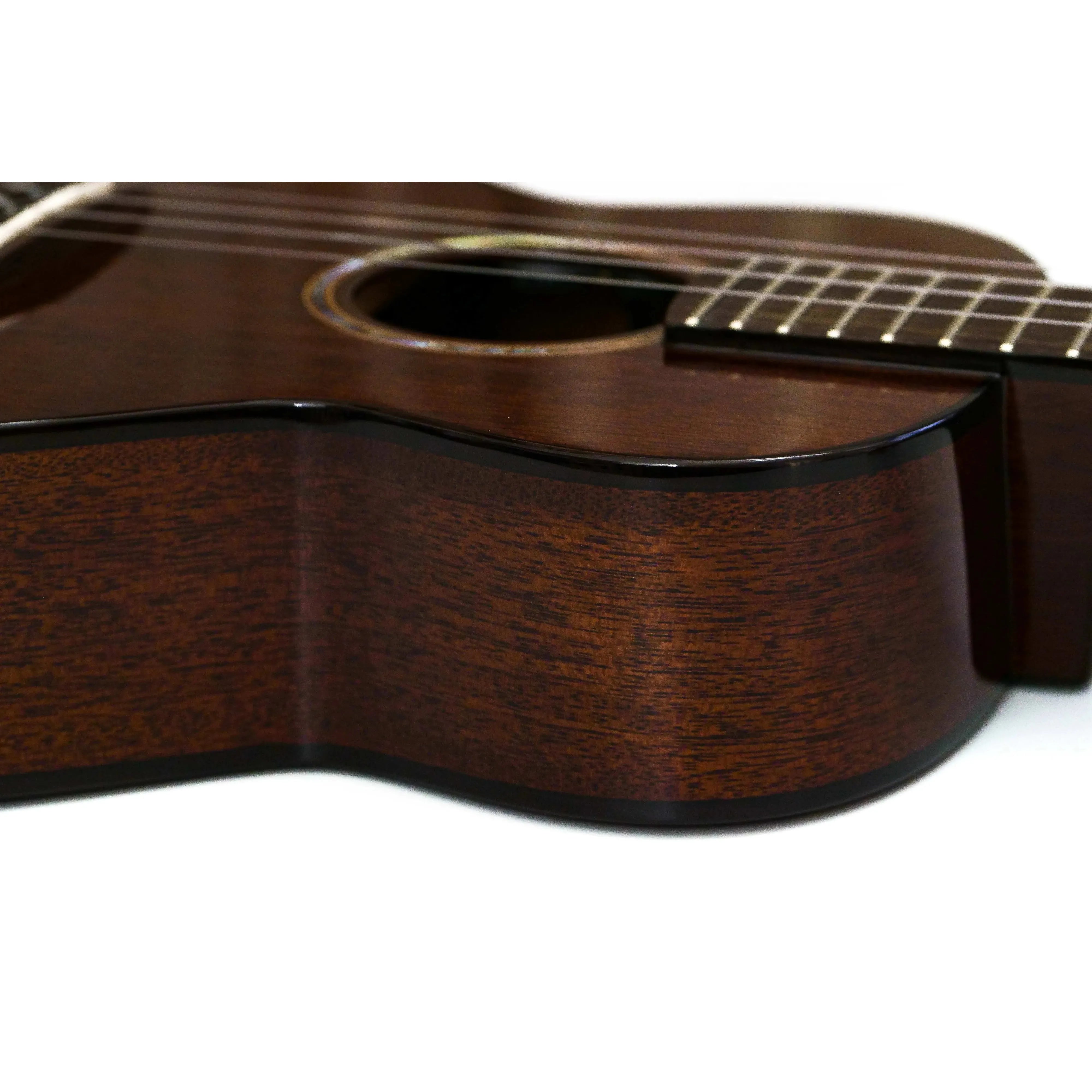 AnuenueAMM3LION_SDENSIDE | Terry Carter Music Store