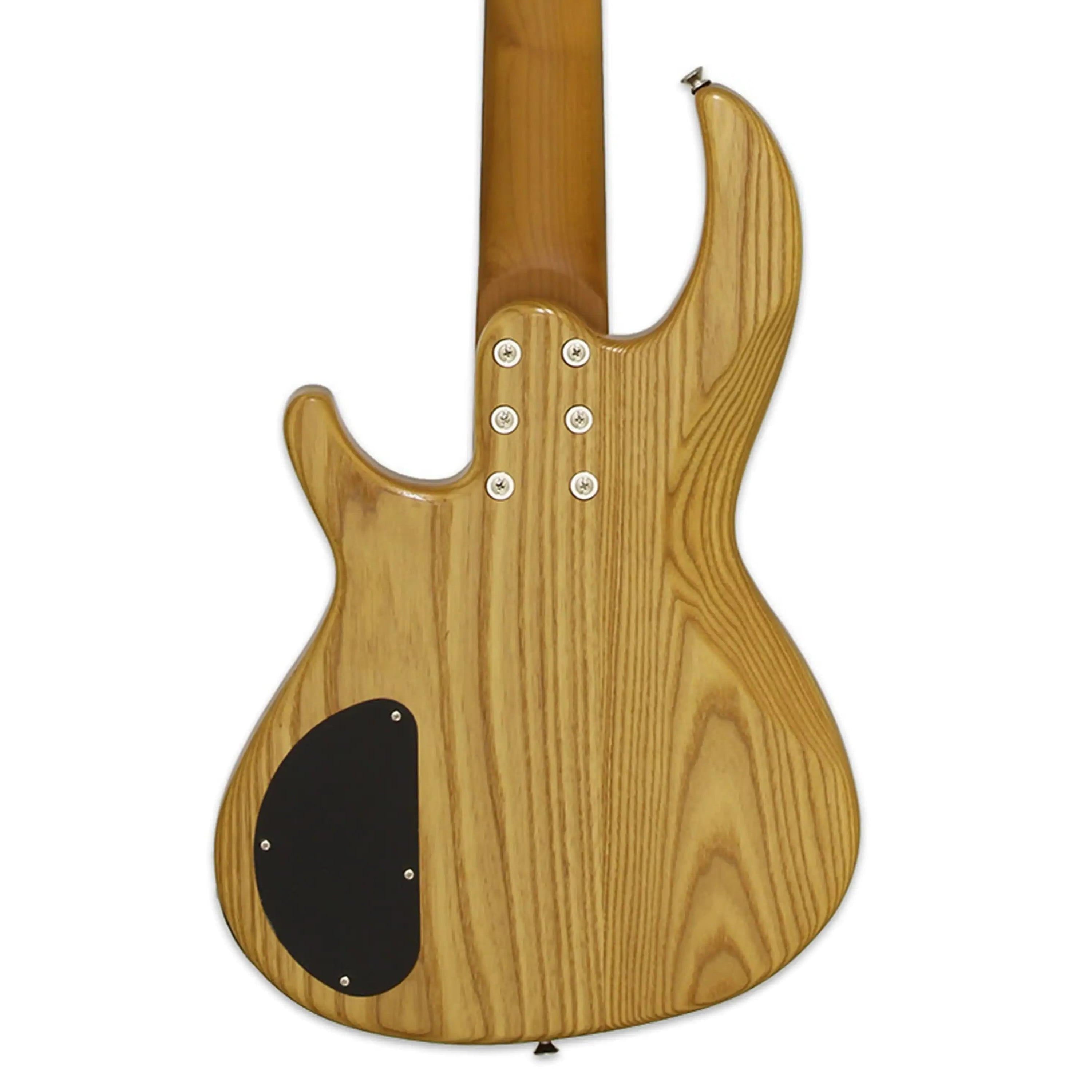 Aria-313-MK2-5-Electric-Bassopn2 | Terry Carter Music Store