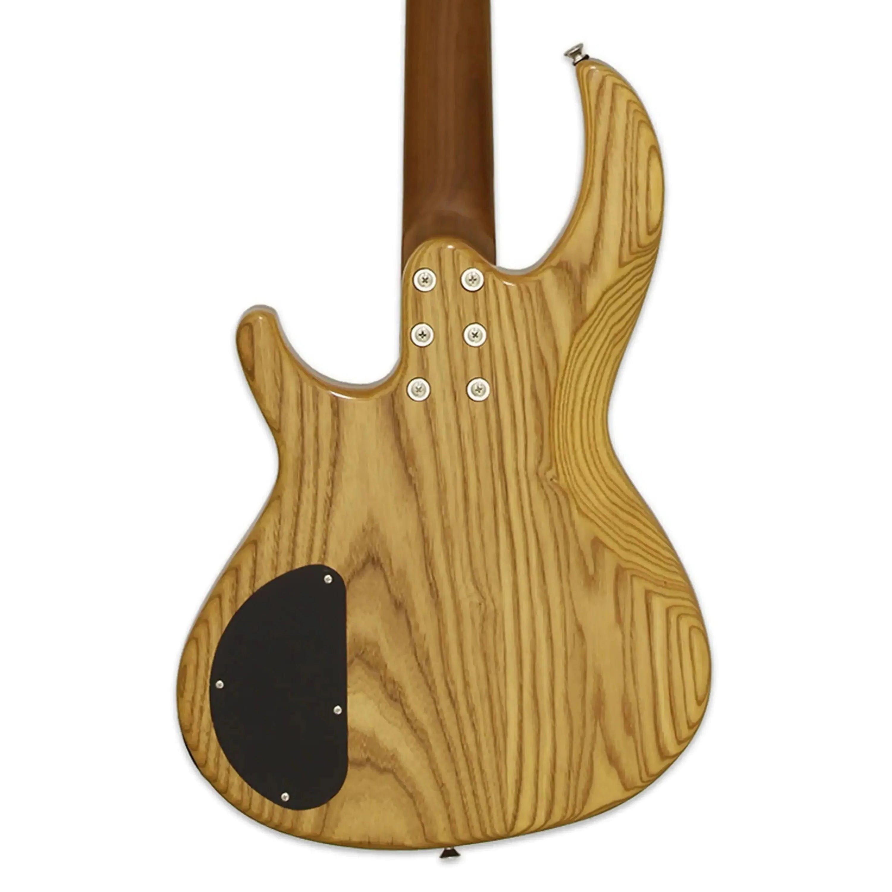 Aria-313-MK2-Electric-Bassopn2 | Terry Carter Music Store