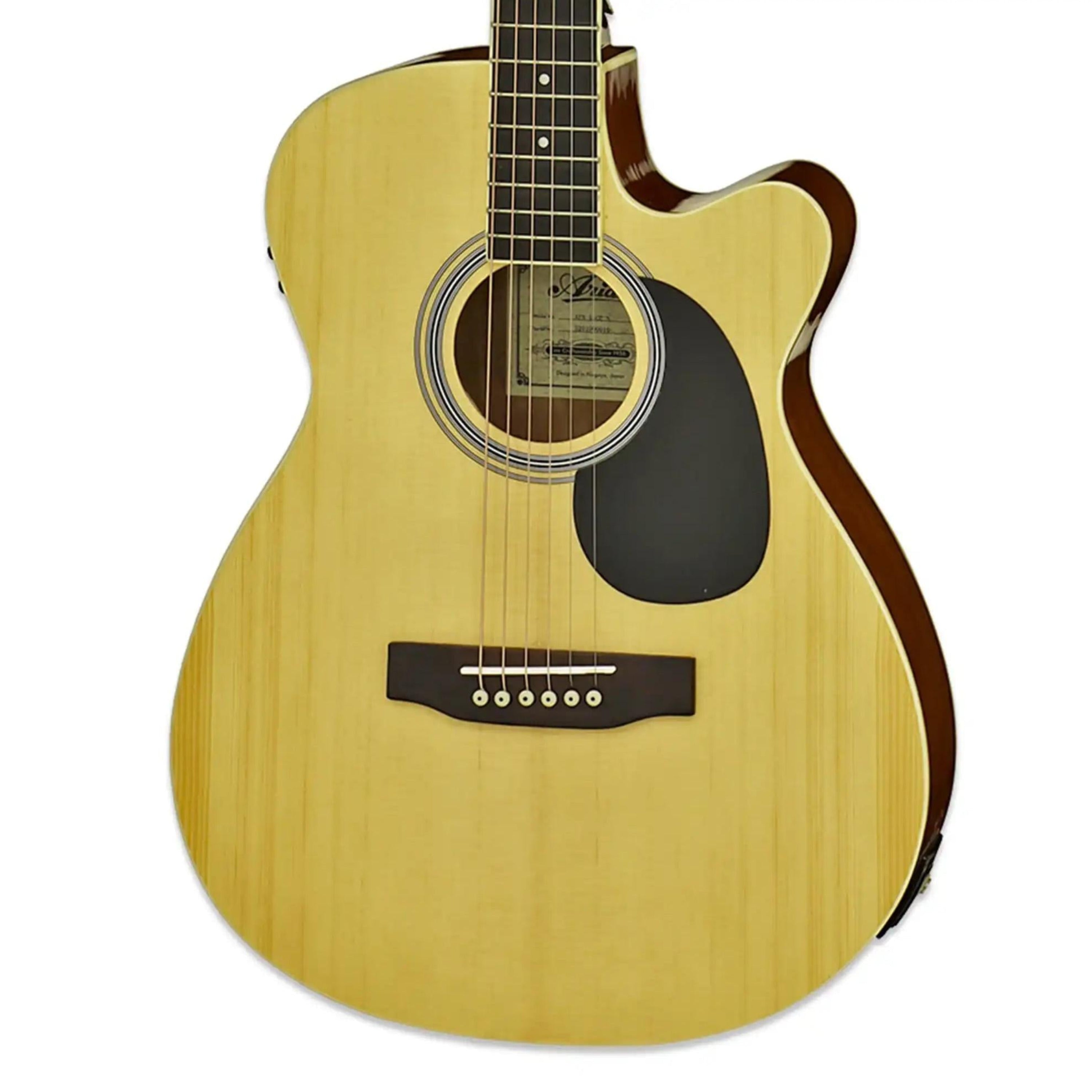 Aria-AFN-15CE-Acoustic-Electric-GuitarN1 | Terry Carter Music Store