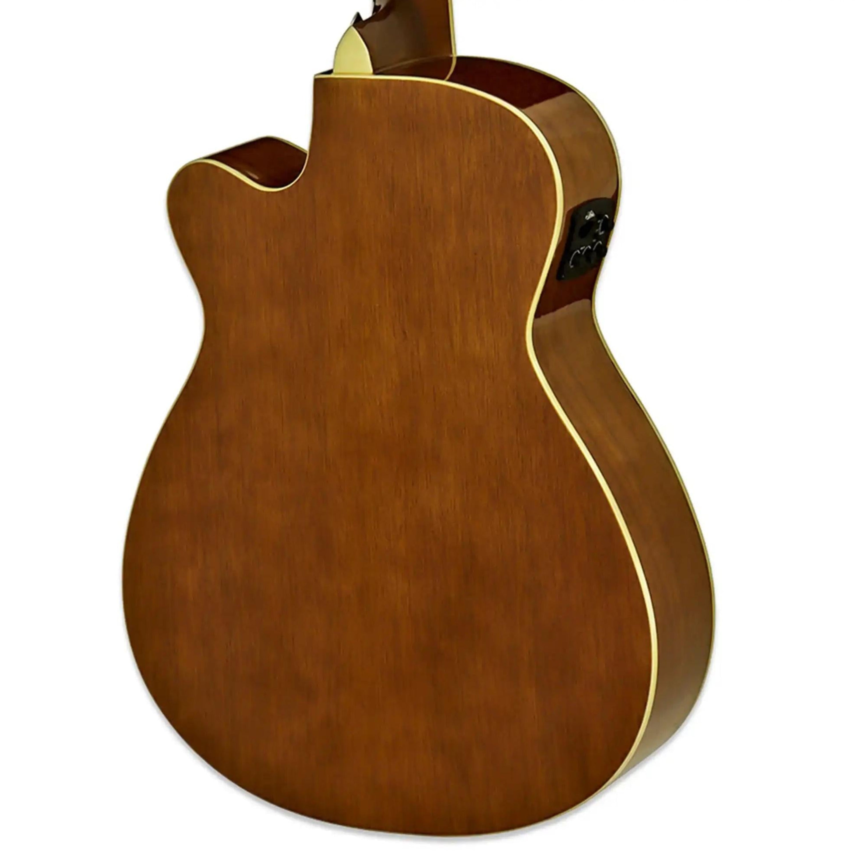 Aria-AFN-15CE-Acoustic-Electric-GuitarN2 | Terry Carter Music Store