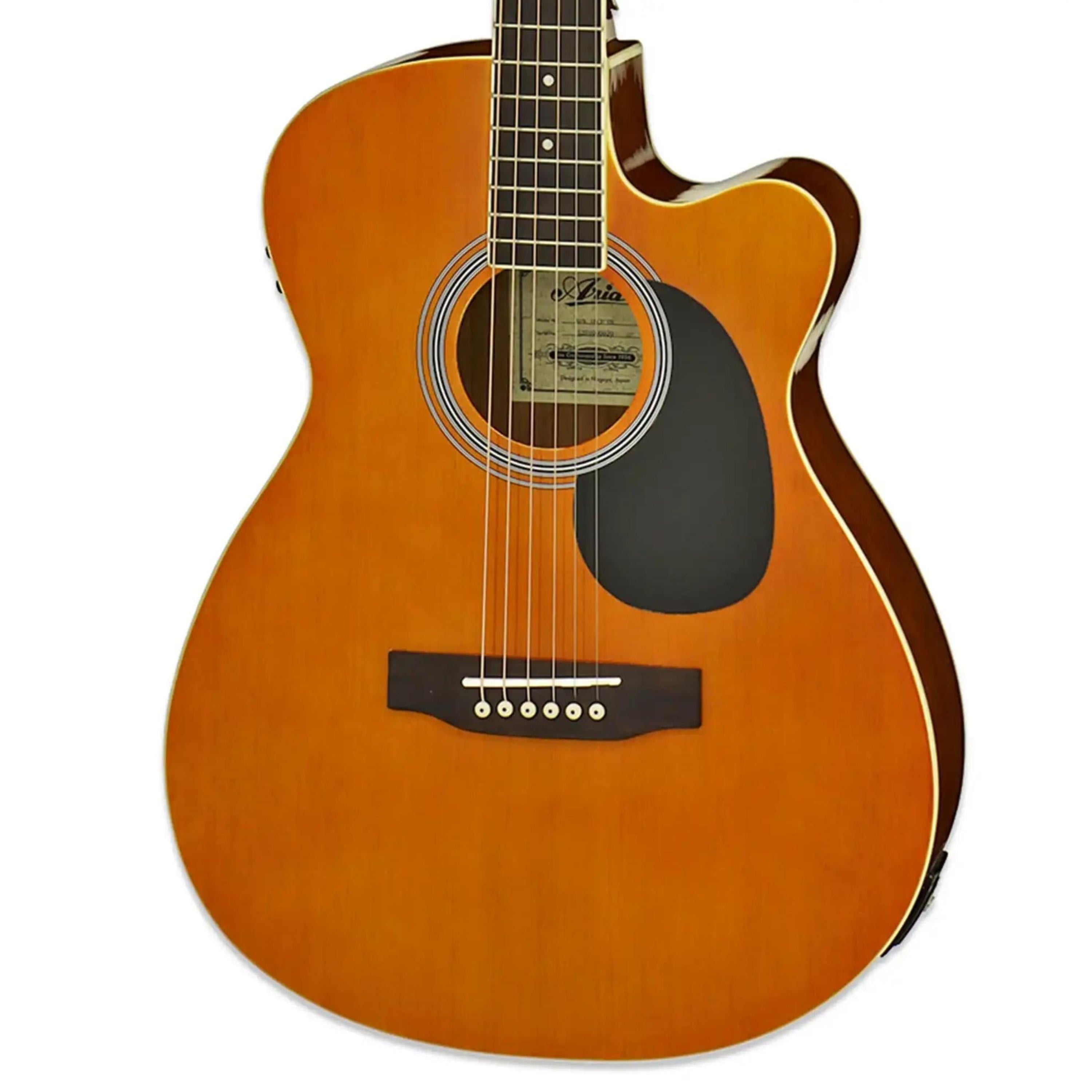 Aria-AFN-15CE-Acoustic-Electric-GuitarOR1 | Terry Carter Music Store