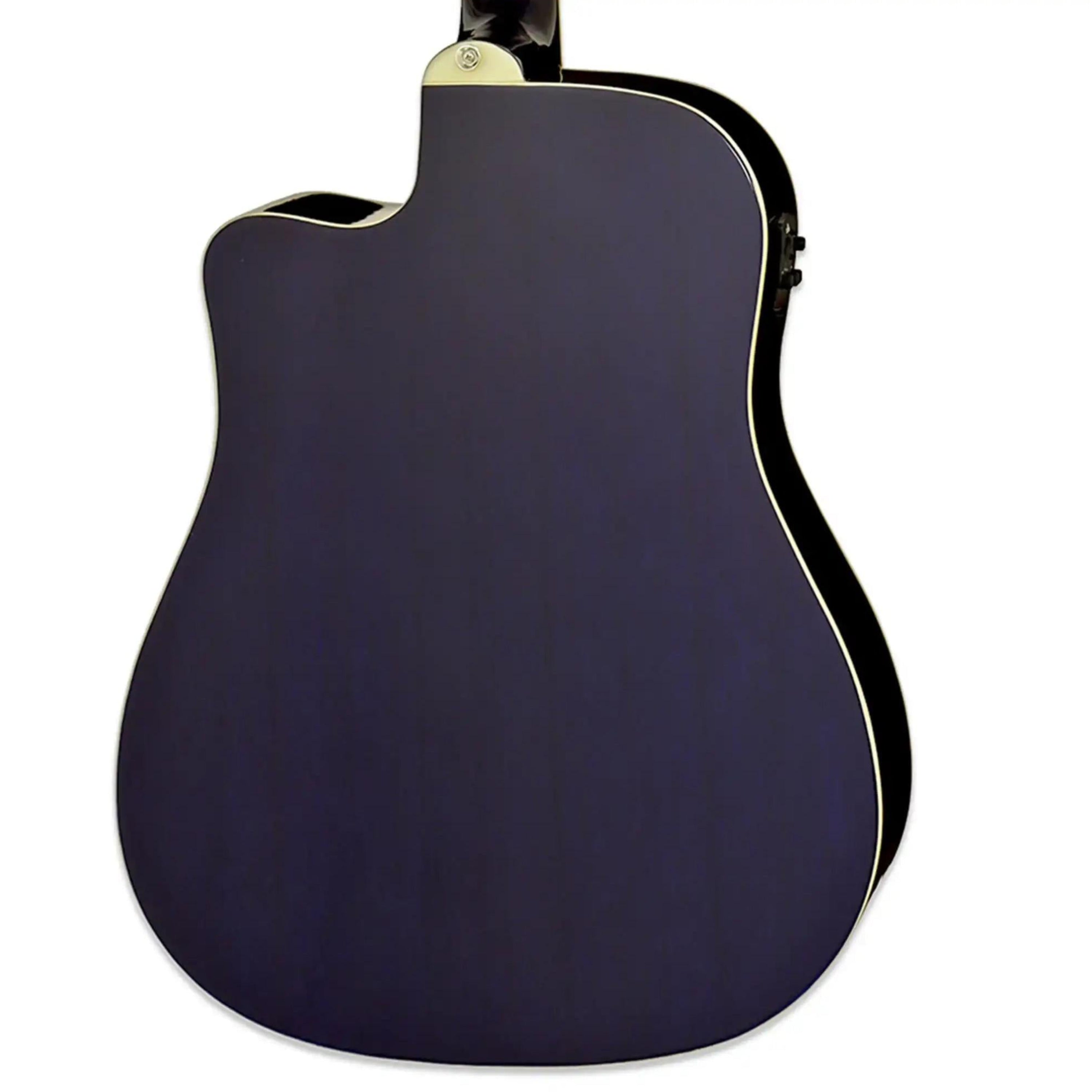Aria-AWN-15CE-Acoustic-Electric-GuitarBLS2 | Terry Carter Music Store