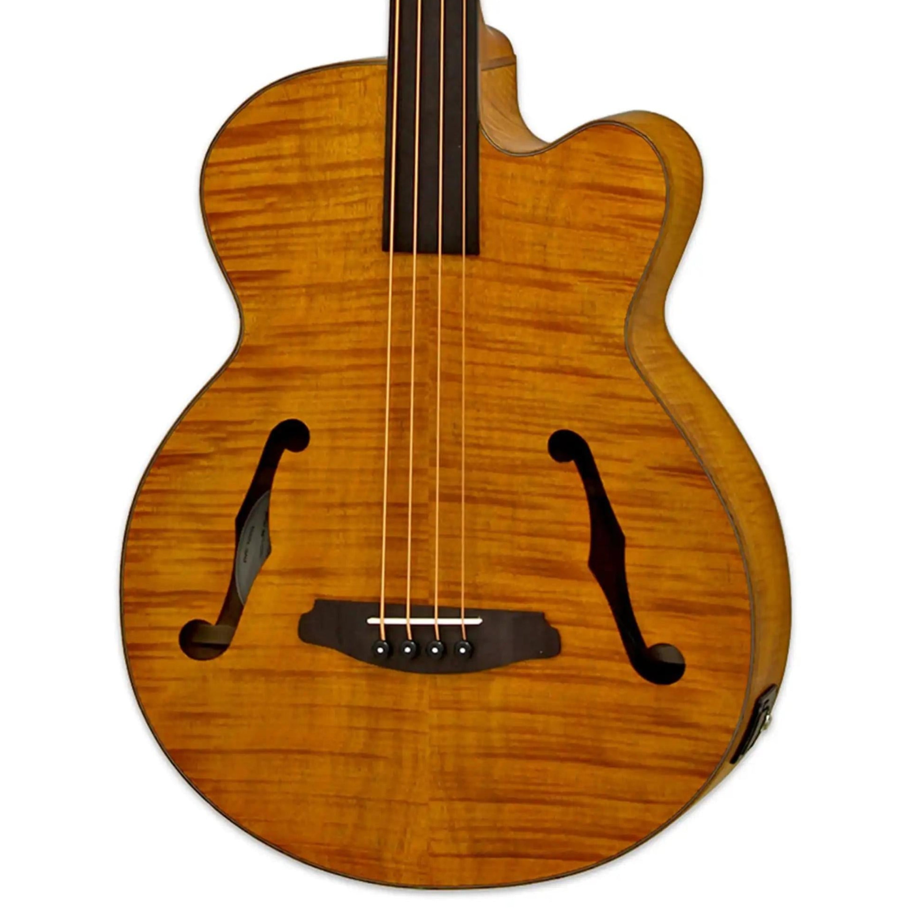 Aria-Fretless-Bass-GuitarSTBR1 | Terry Carter Music Store
